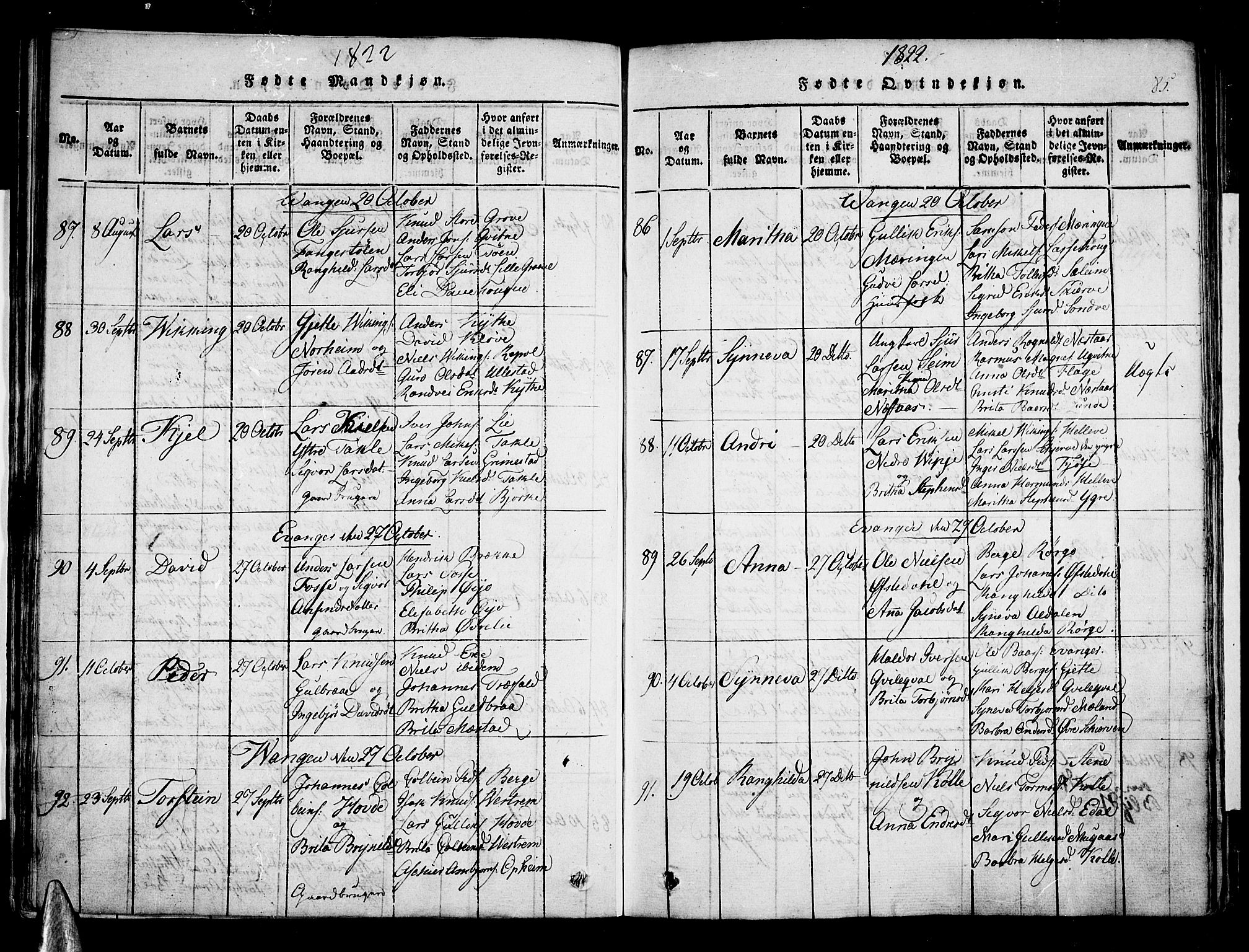 Voss sokneprestembete, SAB/A-79001/H/Haa: Parish register (official) no. A 11, 1816-1827, p. 85