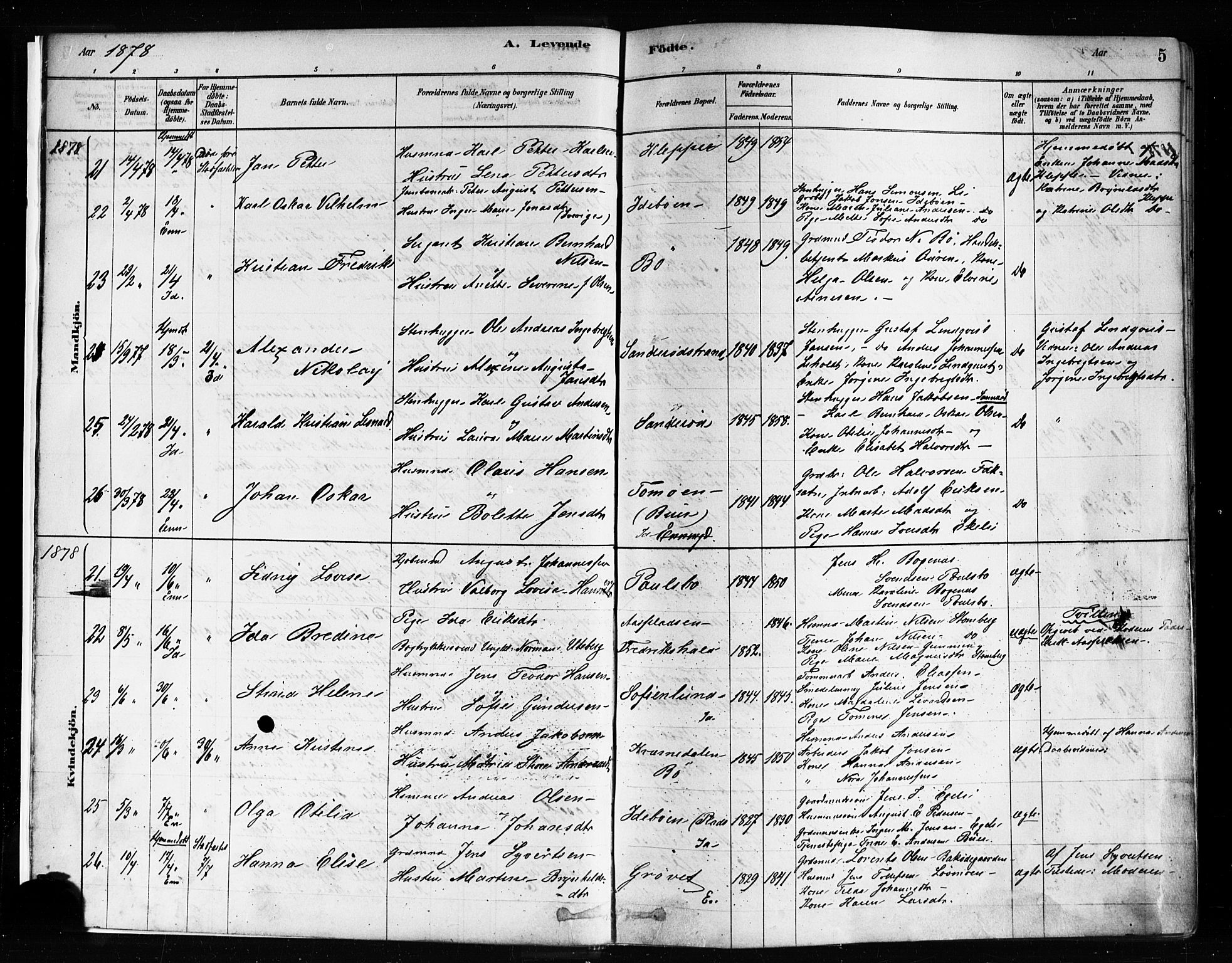 Idd prestekontor Kirkebøker, AV/SAO-A-10911/F/Fc/L0006a: Parish register (official) no. III 6A, 1878-1903, p. 5