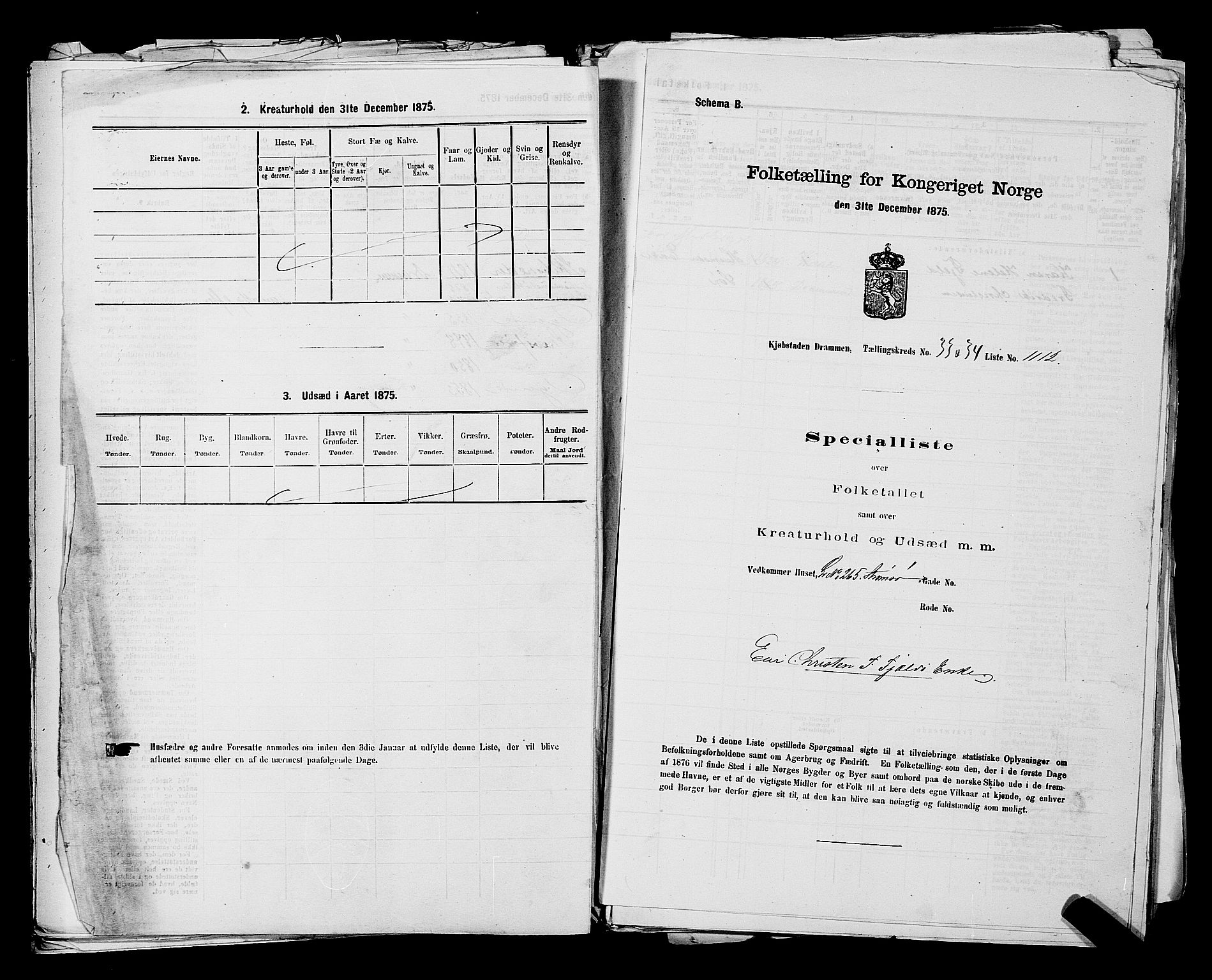 SAKO, 1875 census for 0602 Drammen, 1875, p. 3057