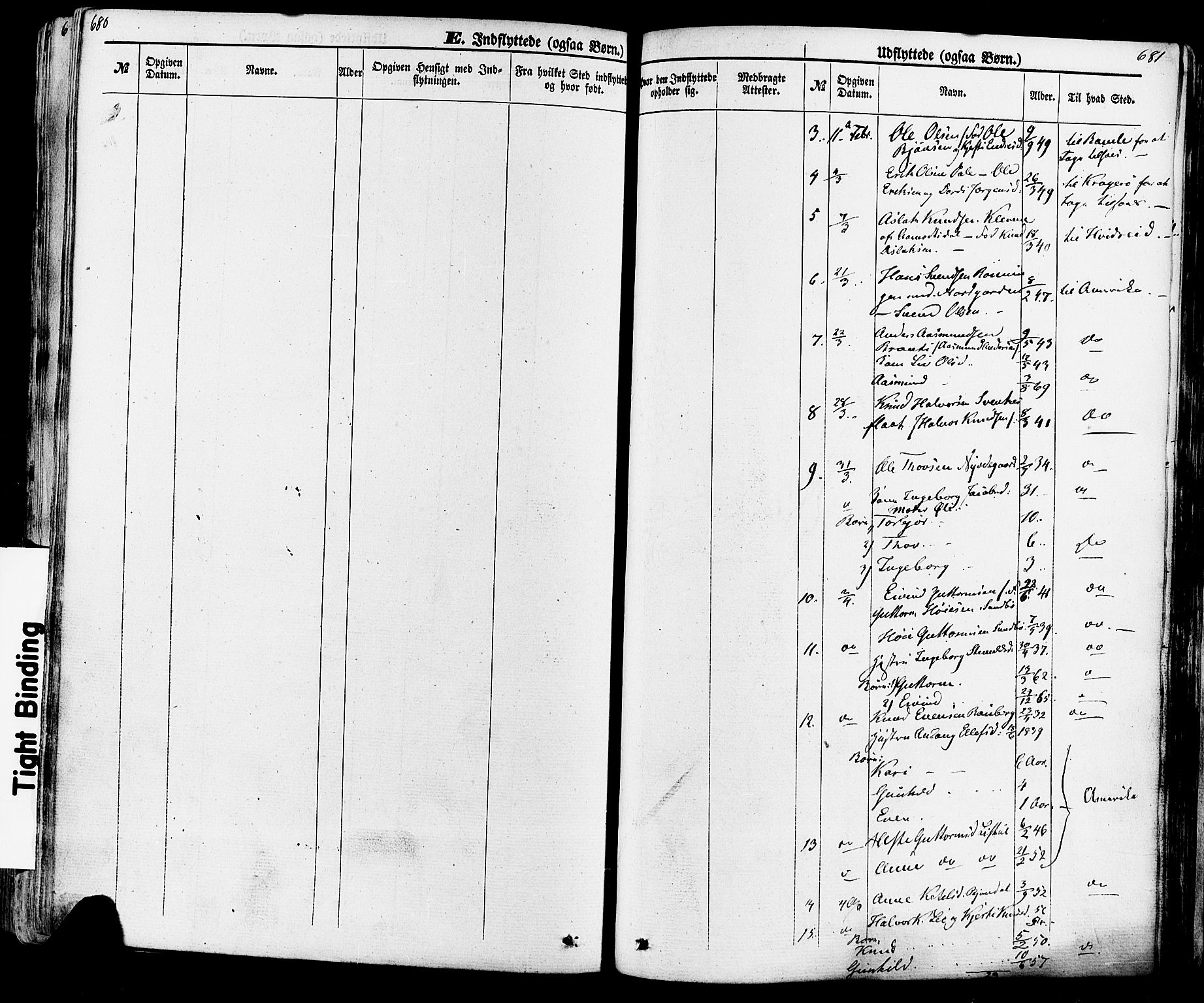 Seljord kirkebøker, SAKO/A-20/F/Fa/L0013: Parish register (official) no. I 13, 1866-1876, p. 680-681