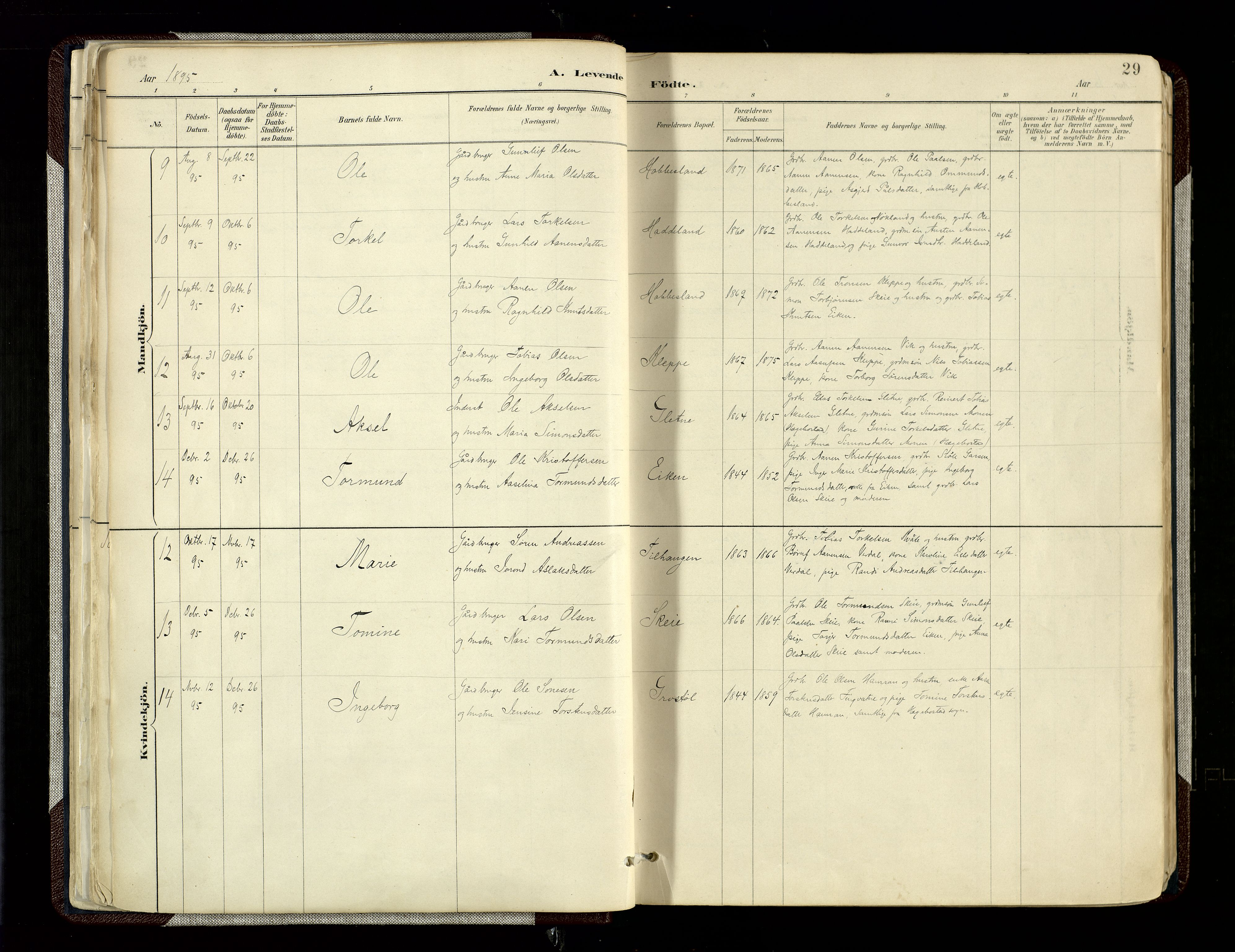 Hægebostad sokneprestkontor, SAK/1111-0024/F/Fa/Fab/L0004: Parish register (official) no. A 4, 1887-1929, p. 29