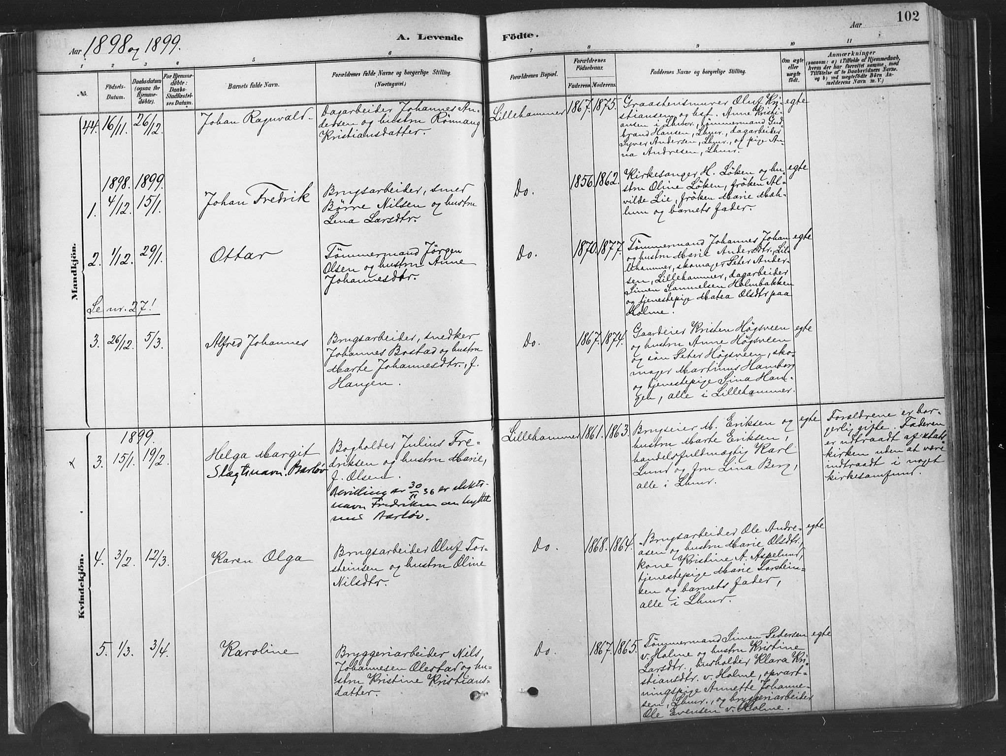 Fåberg prestekontor, SAH/PREST-086/H/Ha/Haa/L0010: Parish register (official) no. 10, 1879-1900, p. 102