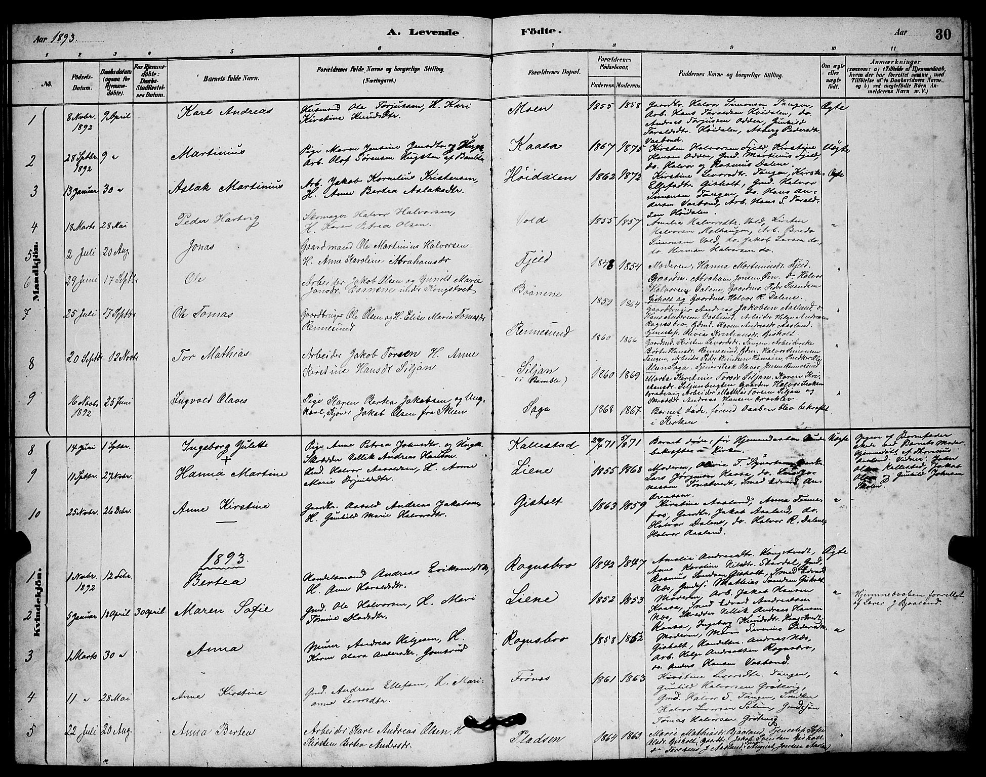 Solum kirkebøker, AV/SAKO-A-306/G/Gc/L0001: Parish register (copy) no. III 1, 1880-1902, p. 30