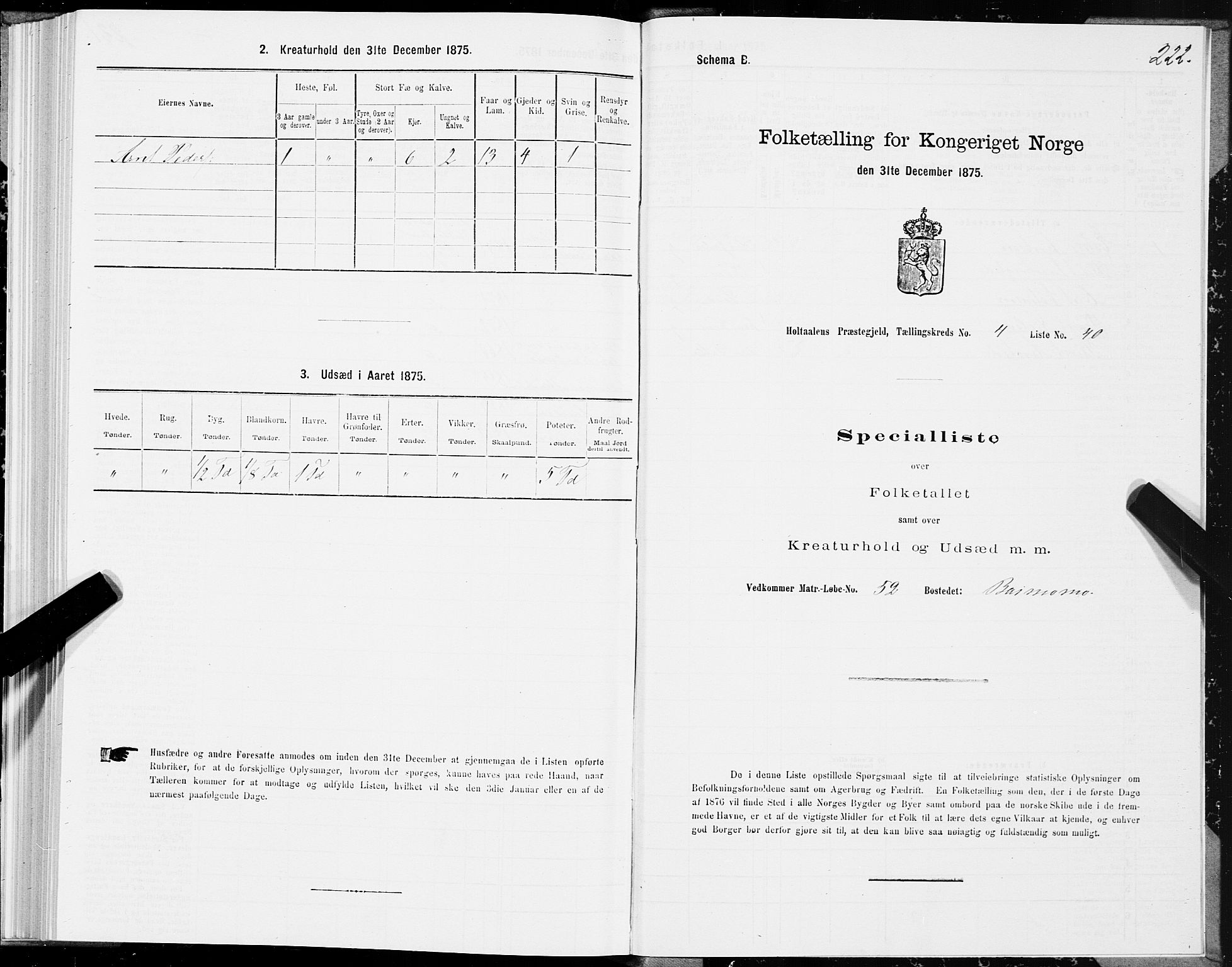 SAT, 1875 census for 1645P Haltdalen, 1875, p. 3222