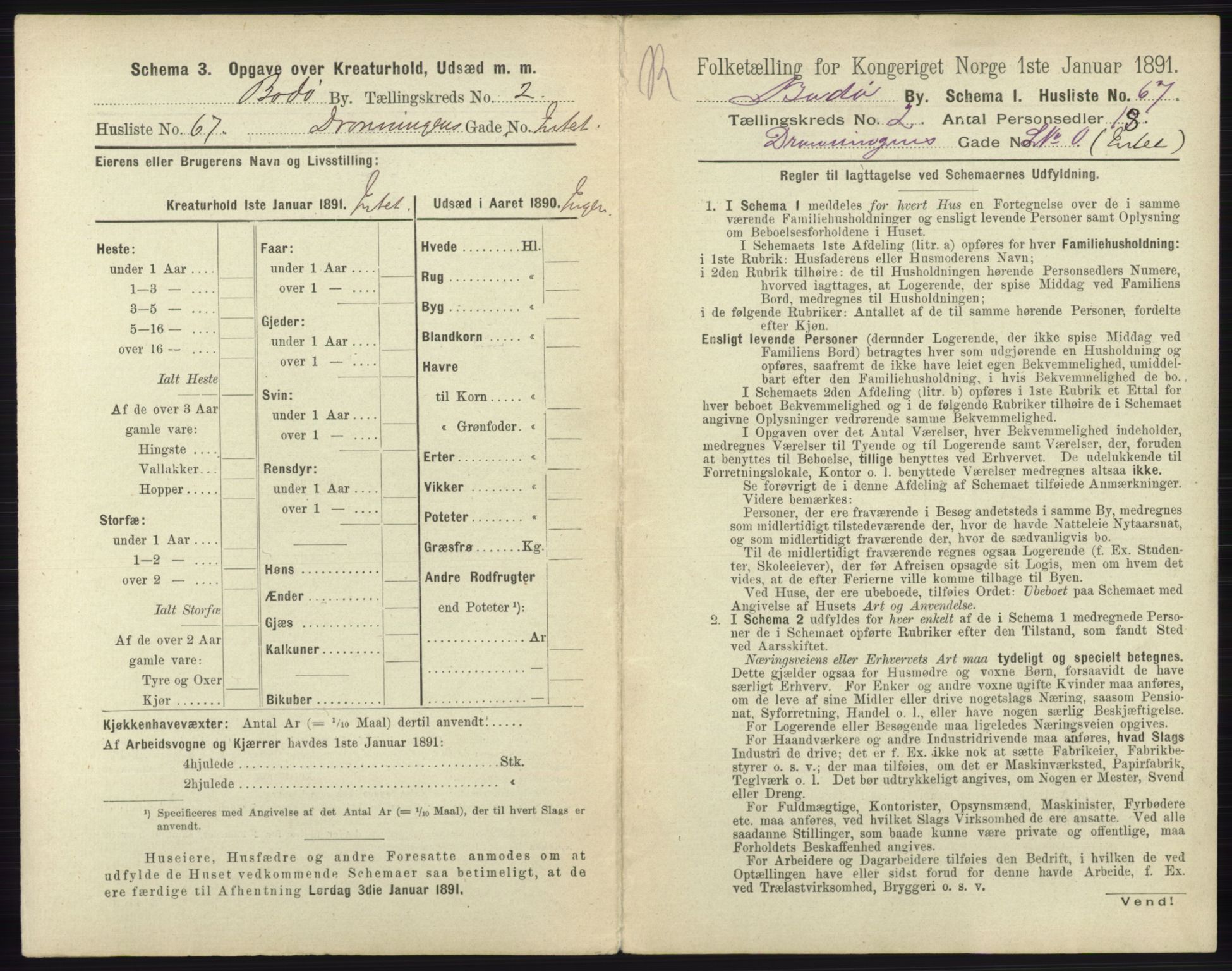 RA, 1891 census for 1804 Bodø, 1891, p. 982