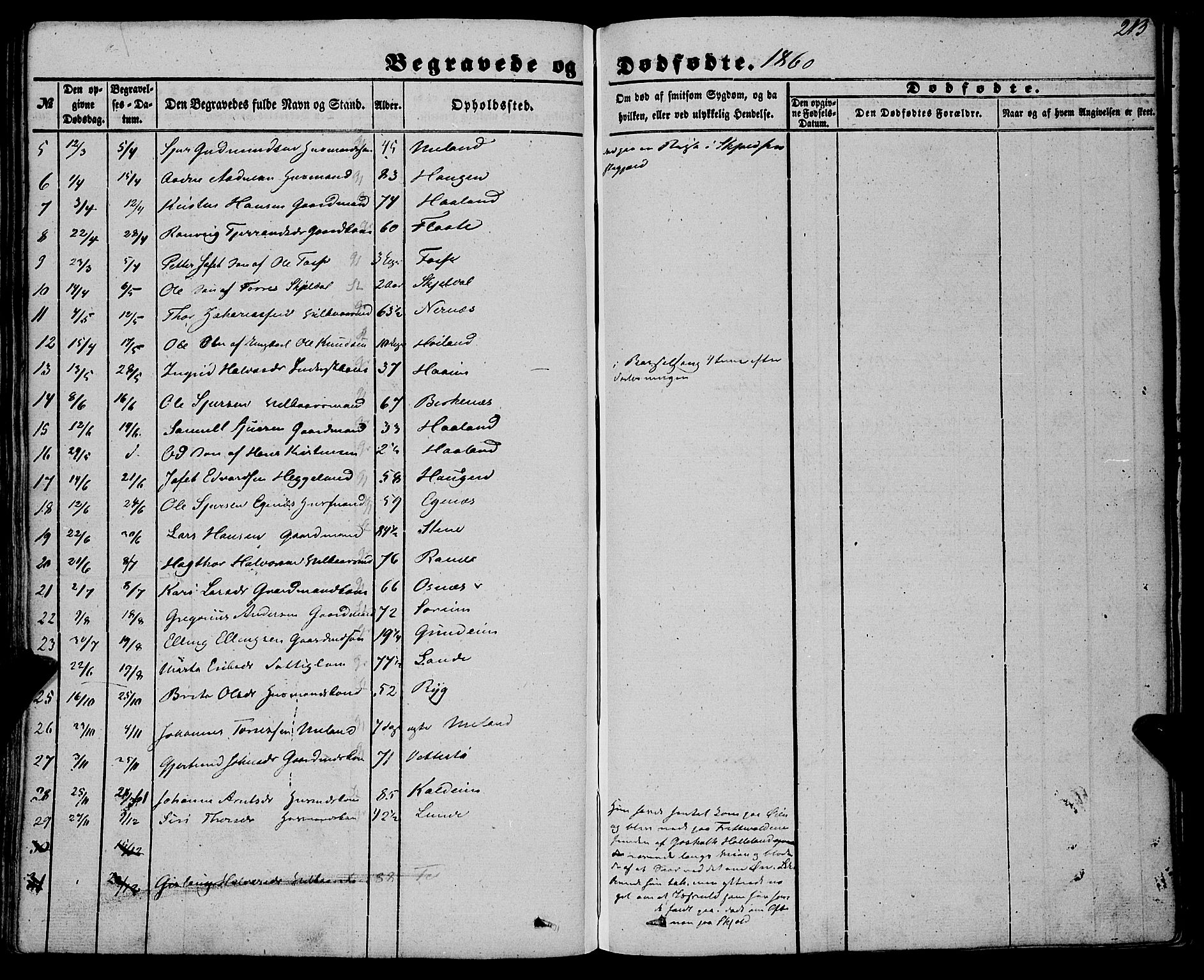 Etne sokneprestembete, AV/SAB-A-75001/H/Haa: Parish register (official) no. A 8, 1848-1862, p. 213