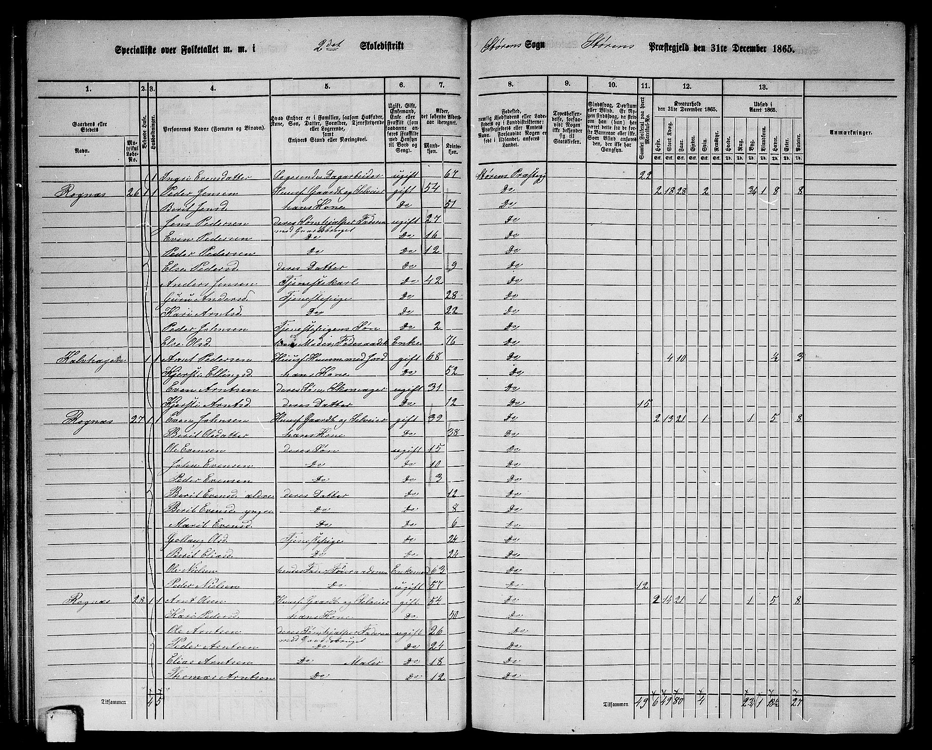 RA, 1865 census for Støren, 1865, p. 46