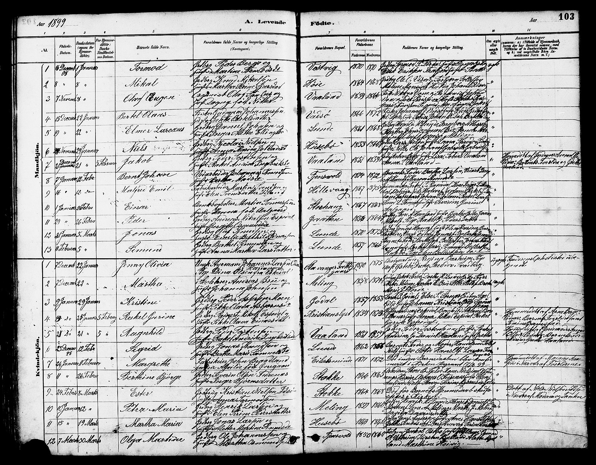 Hetland sokneprestkontor, AV/SAST-A-101826/30/30BB/L0005: Parish register (copy) no. B 5, 1878-1910, p. 103