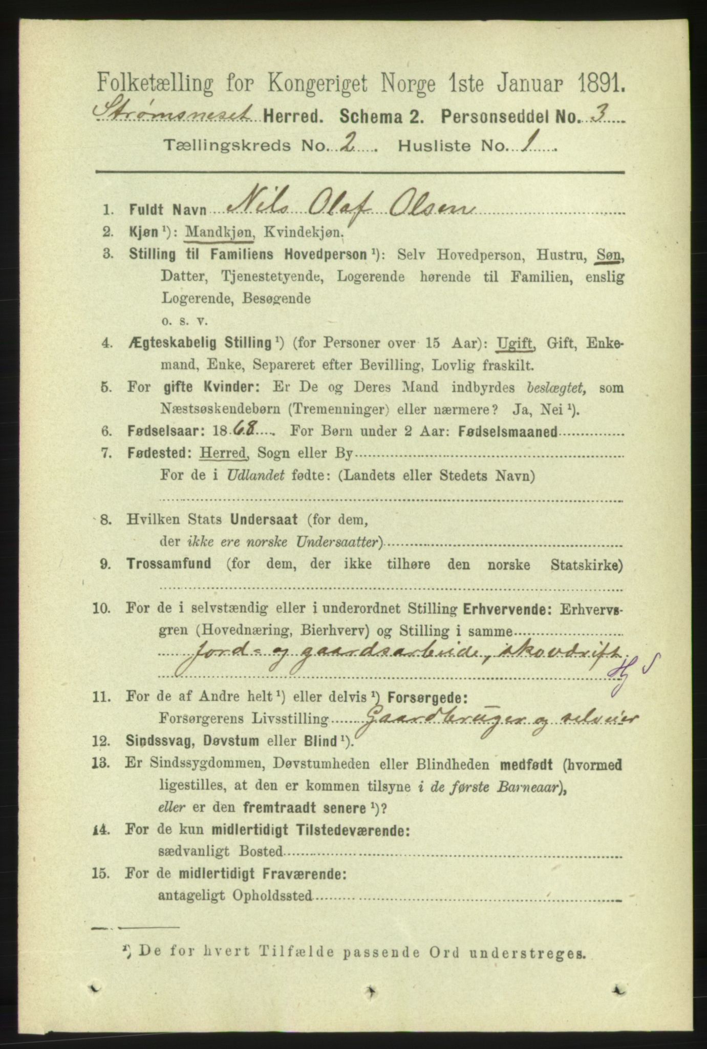 RA, 1891 census for 1559 Straumsnes, 1891, p. 214