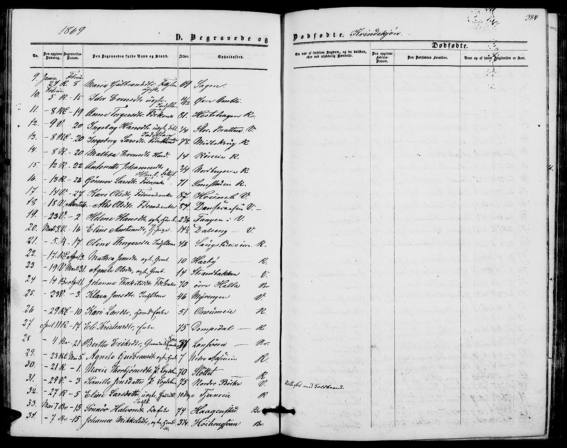 Ringsaker prestekontor, AV/SAH-PREST-014/L/La/L0007: Parish register (copy) no. 7, 1861-1869, p. 384