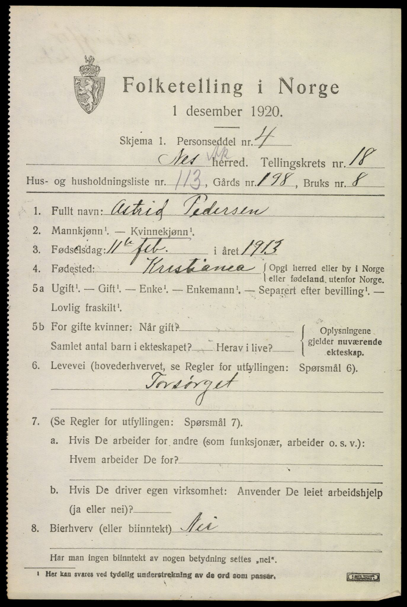 SAO, 1920 census for Nes, 1920, p. 19106