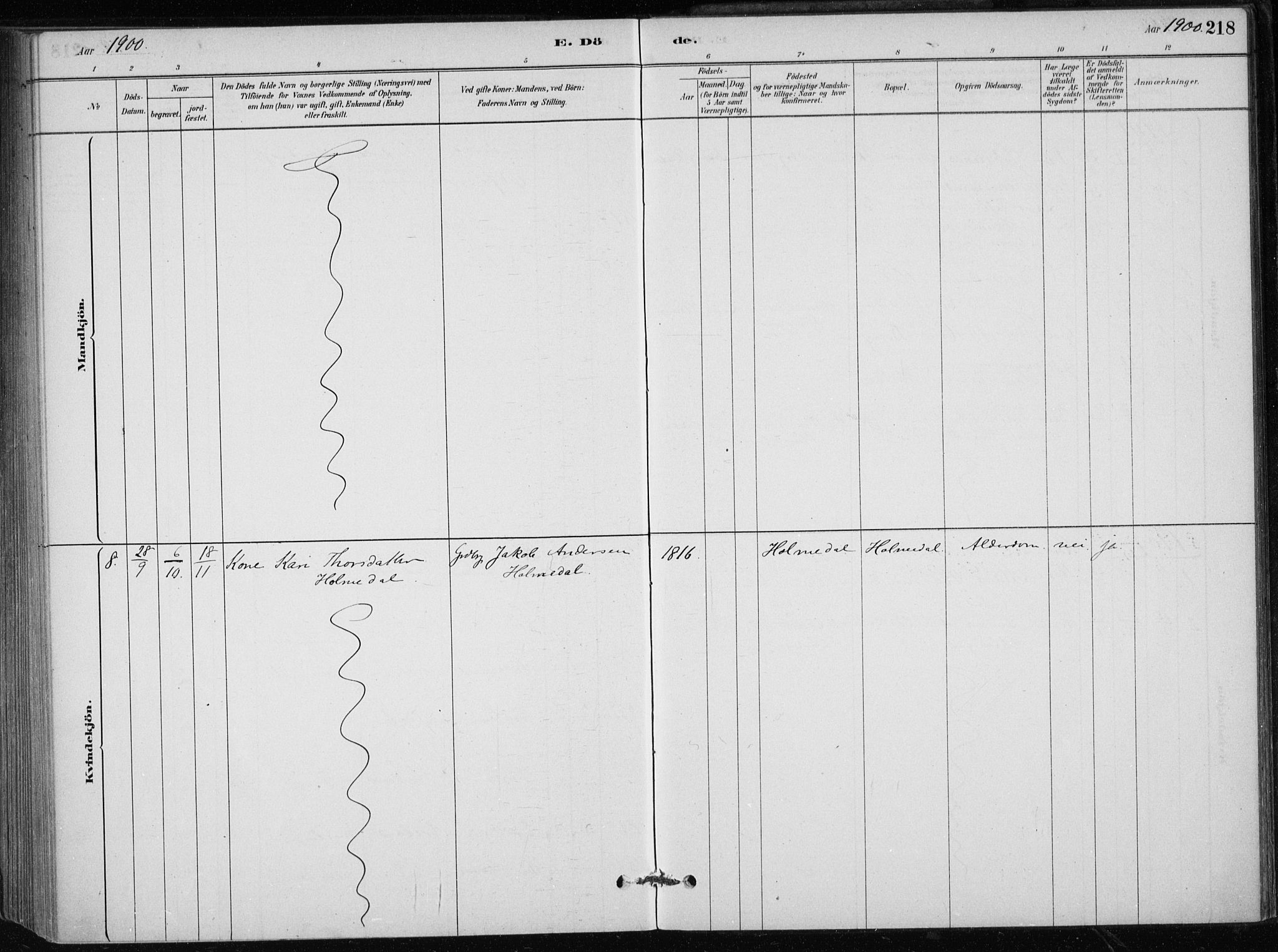 Skånevik sokneprestembete, SAB/A-77801/H/Haa: Parish register (official) no. C  1, 1879-1917, p. 218