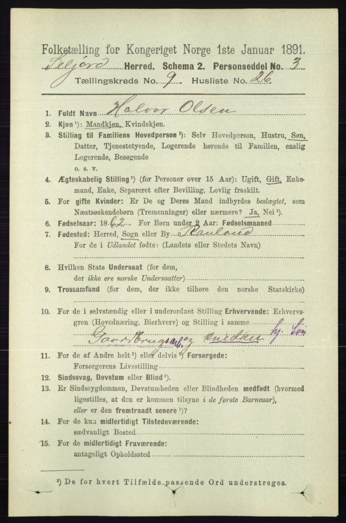 RA, 1891 census for 0828 Seljord, 1891, p. 3314