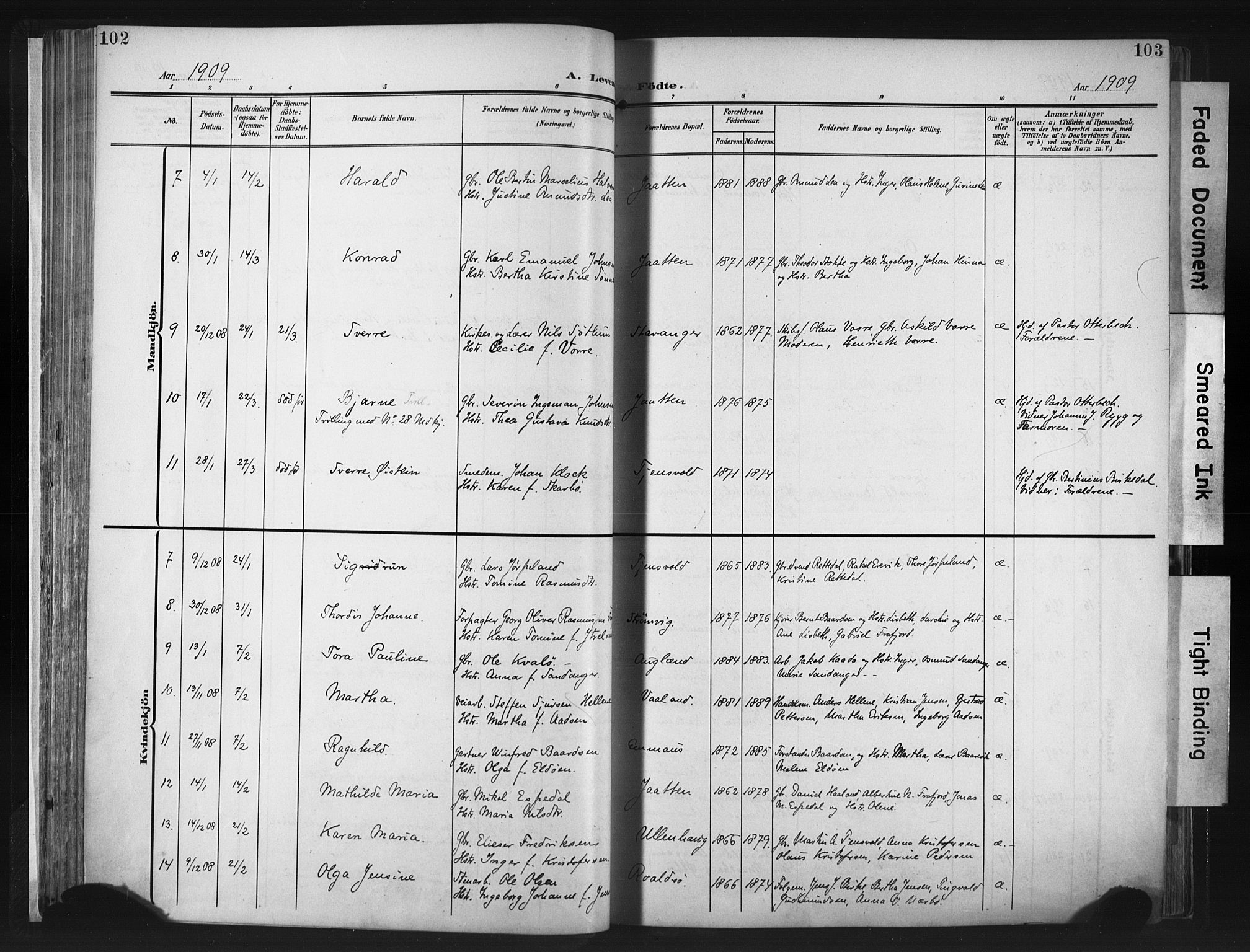 Hetland sokneprestkontor, AV/SAST-A-101826/30/30BA/L0013: Parish register (official) no. A 13, 1904-1918, p. 102-103