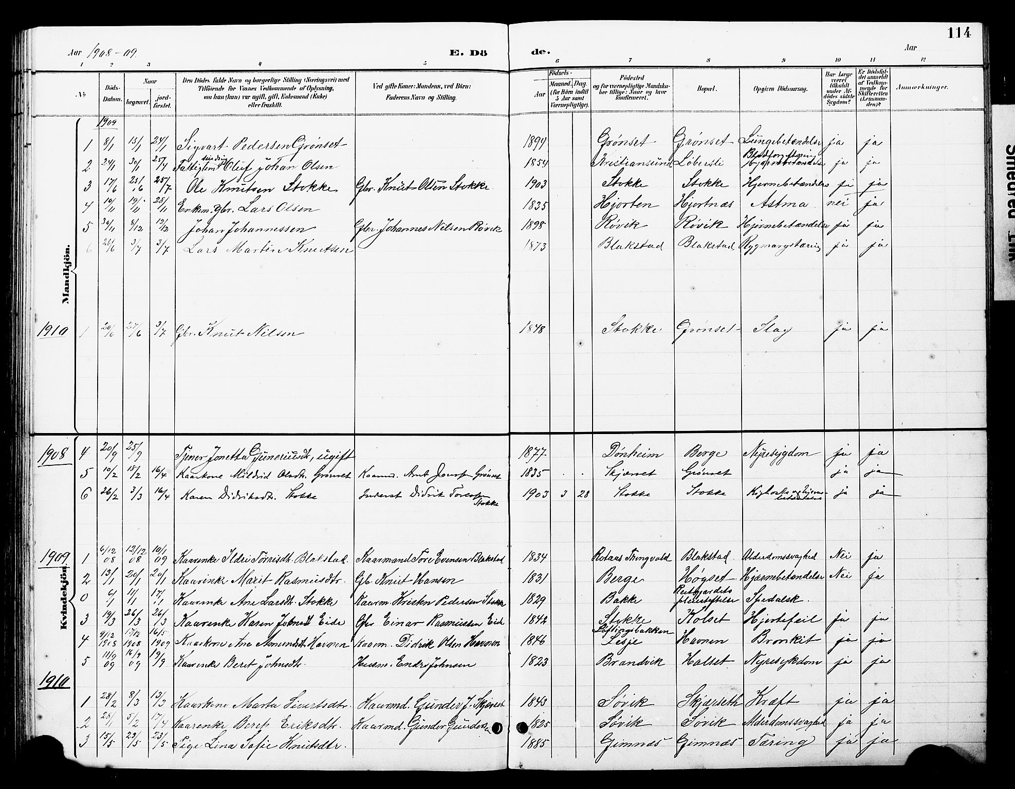 Ministerialprotokoller, klokkerbøker og fødselsregistre - Møre og Romsdal, AV/SAT-A-1454/585/L0973: Parish register (copy) no. 585C01, 1893-1930, p. 114