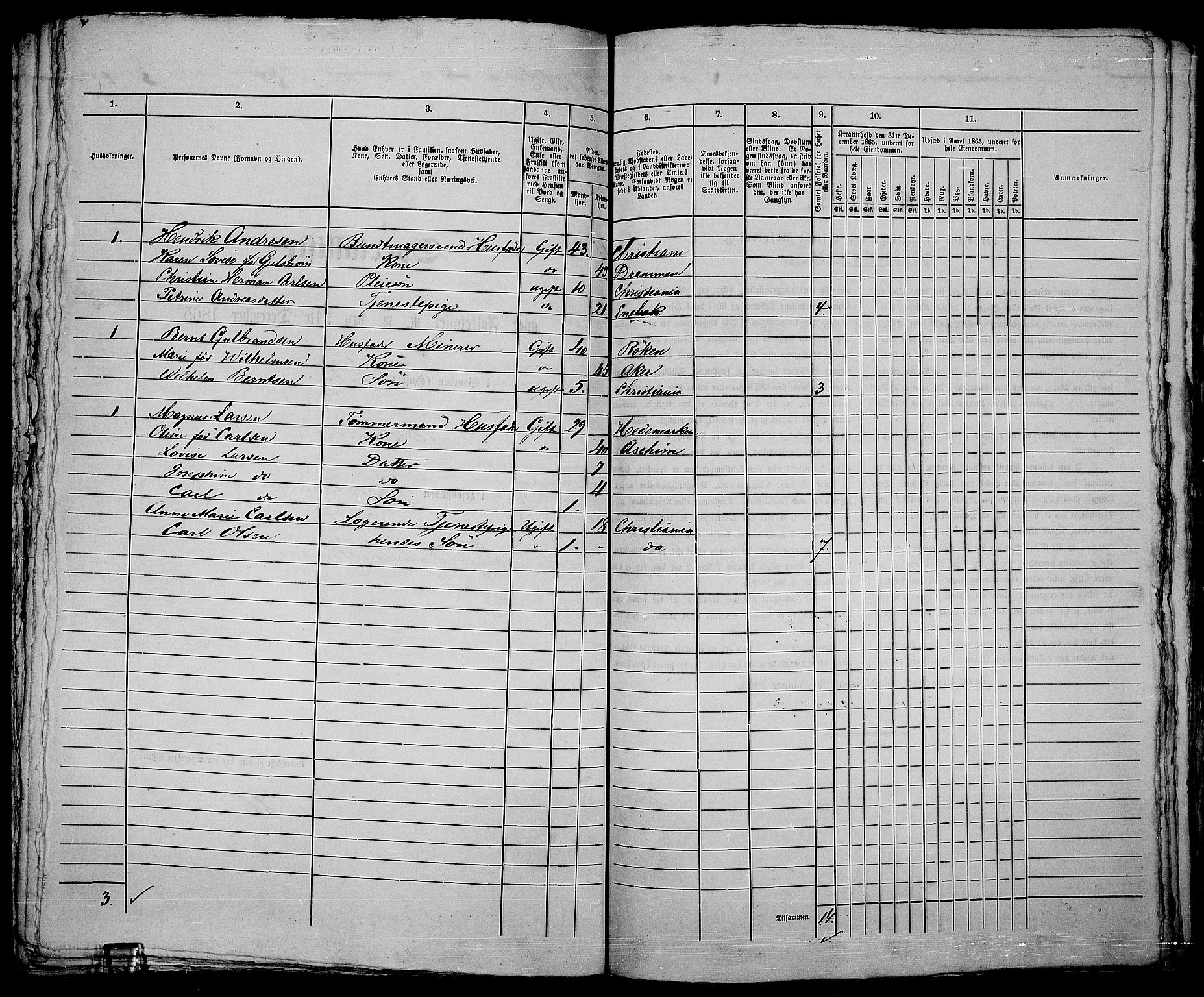 RA, 1865 census for Kristiania, 1865, p. 3096