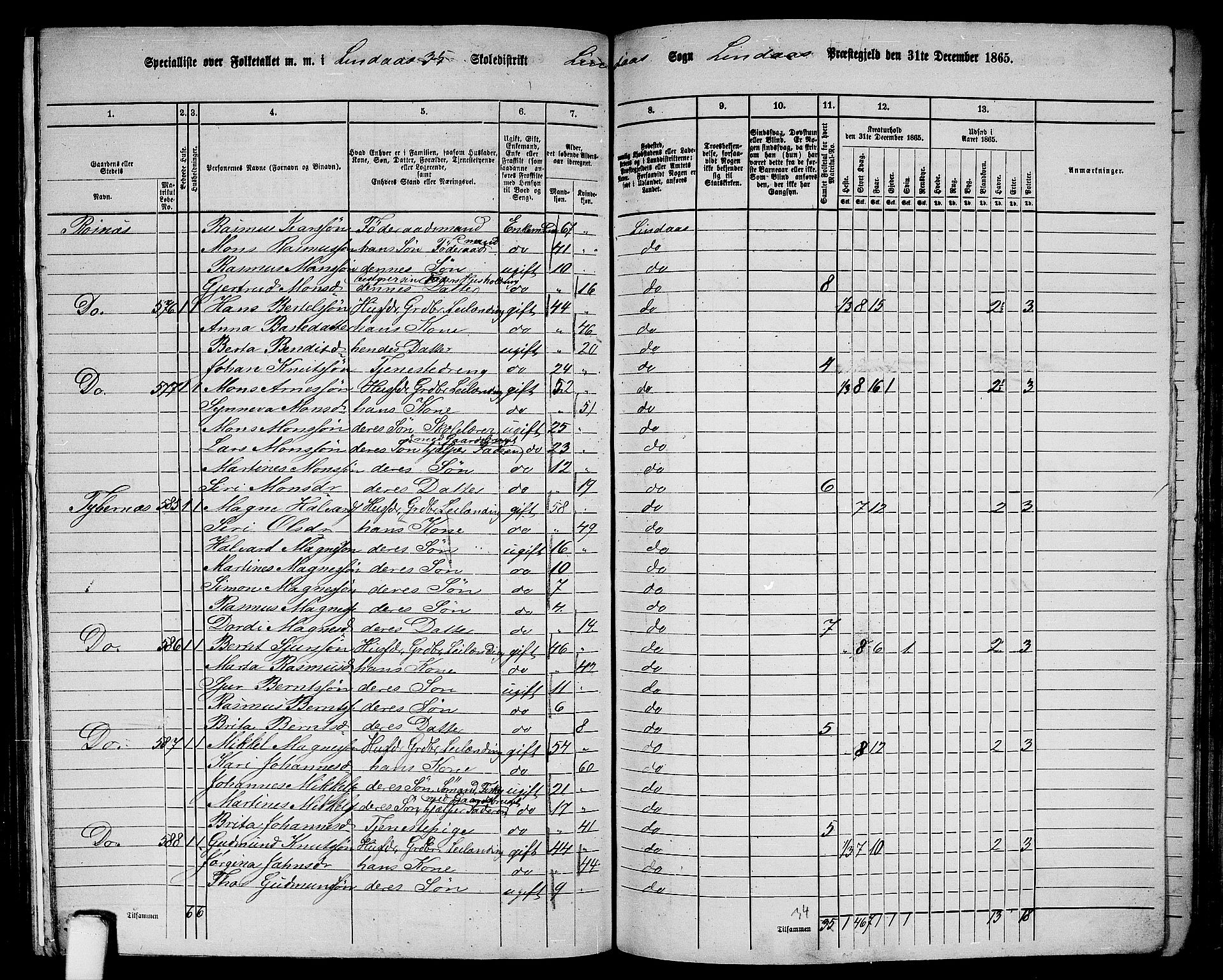 RA, 1865 census for Lindås, 1865, p. 219