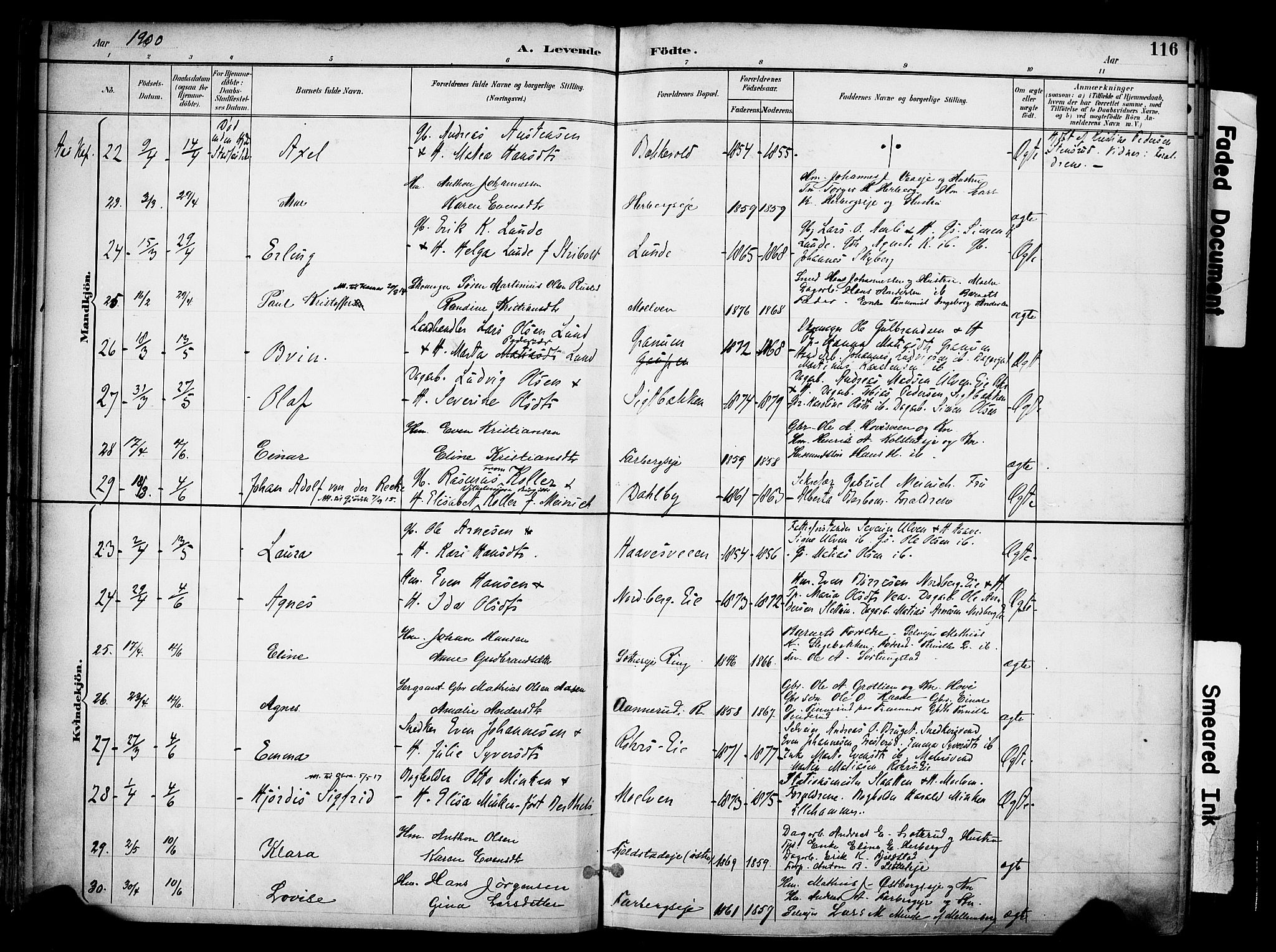 Ringsaker prestekontor, AV/SAH-PREST-014/K/Ka/L0017: Parish register (official) no. 17, 1891-1902, p. 116