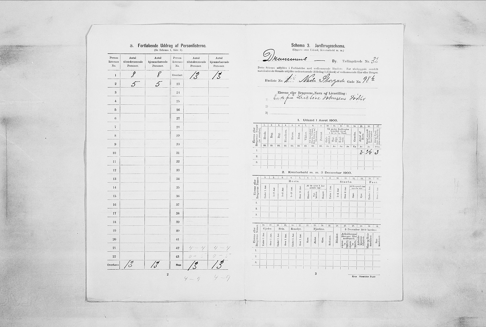 RA, 1900 census for Drammen, 1900, p. 5336