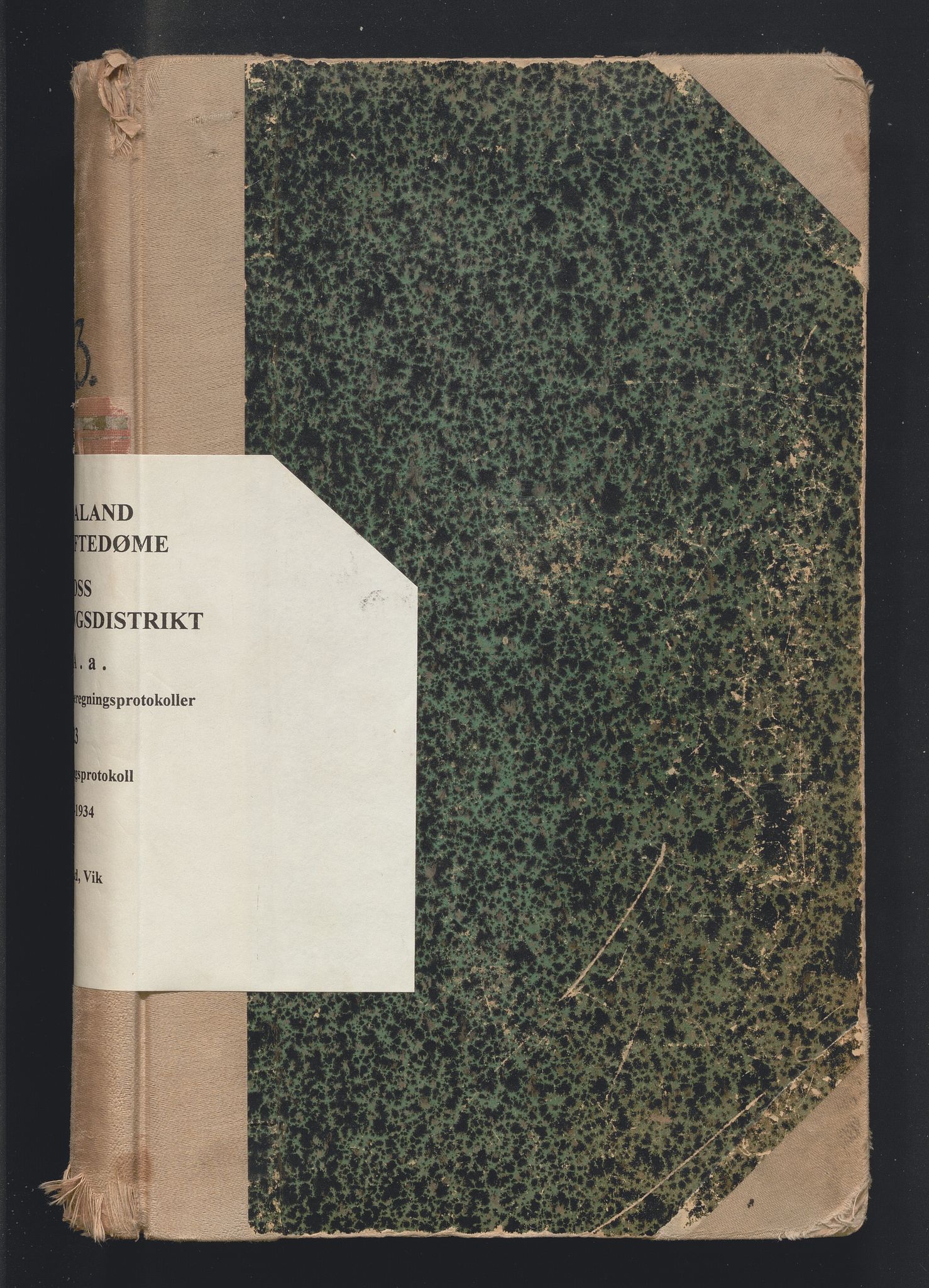 Hordaland jordskiftedøme - V Voss jordskiftedistrikt, AV/SAB-A-7201/A/Aa/L0023: Forhandlingsprotokoll, 1923-1934