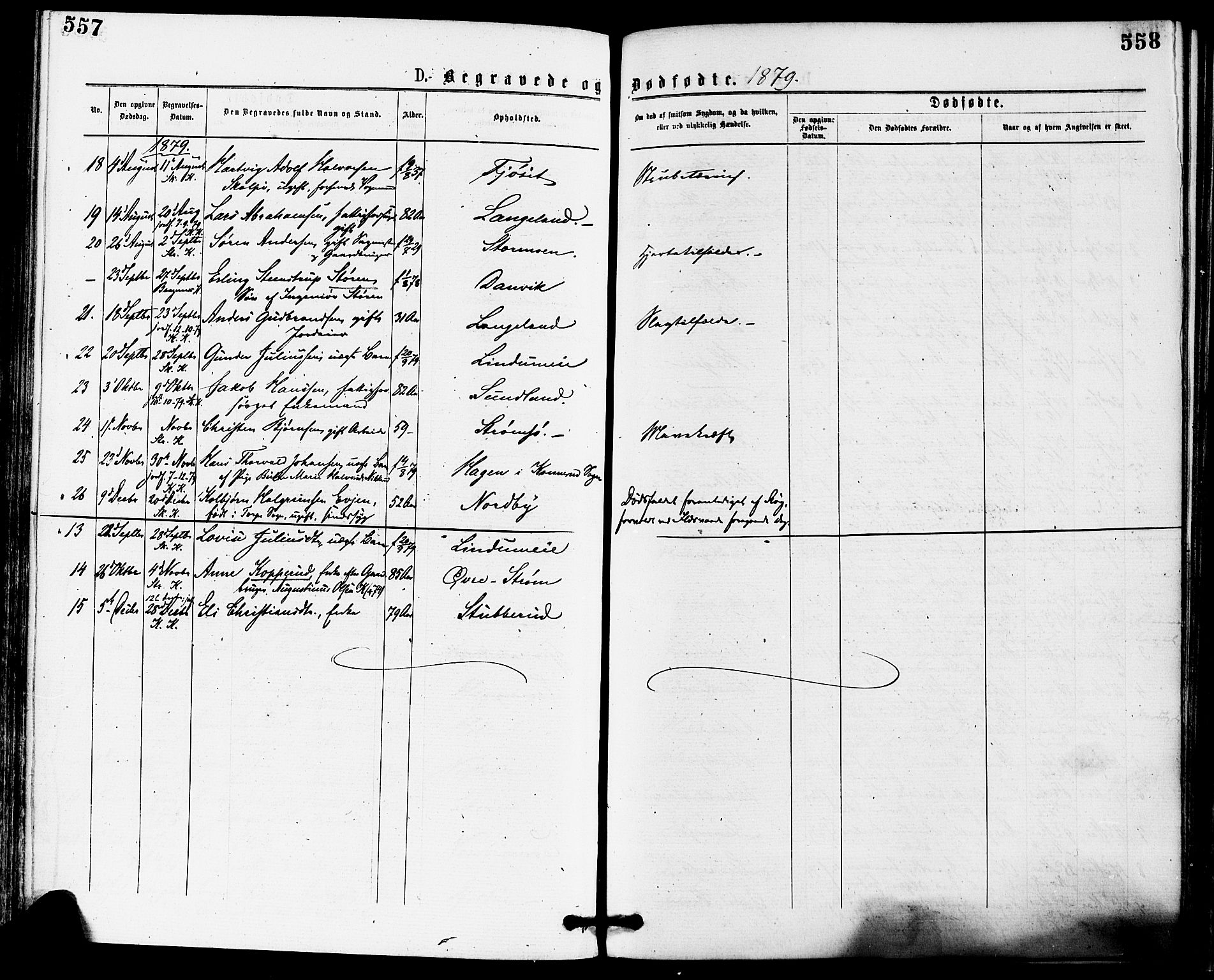 Skoger kirkebøker, AV/SAKO-A-59/F/Fa/L0005: Parish register (official) no. I 5, 1873-1884, p. 557-558