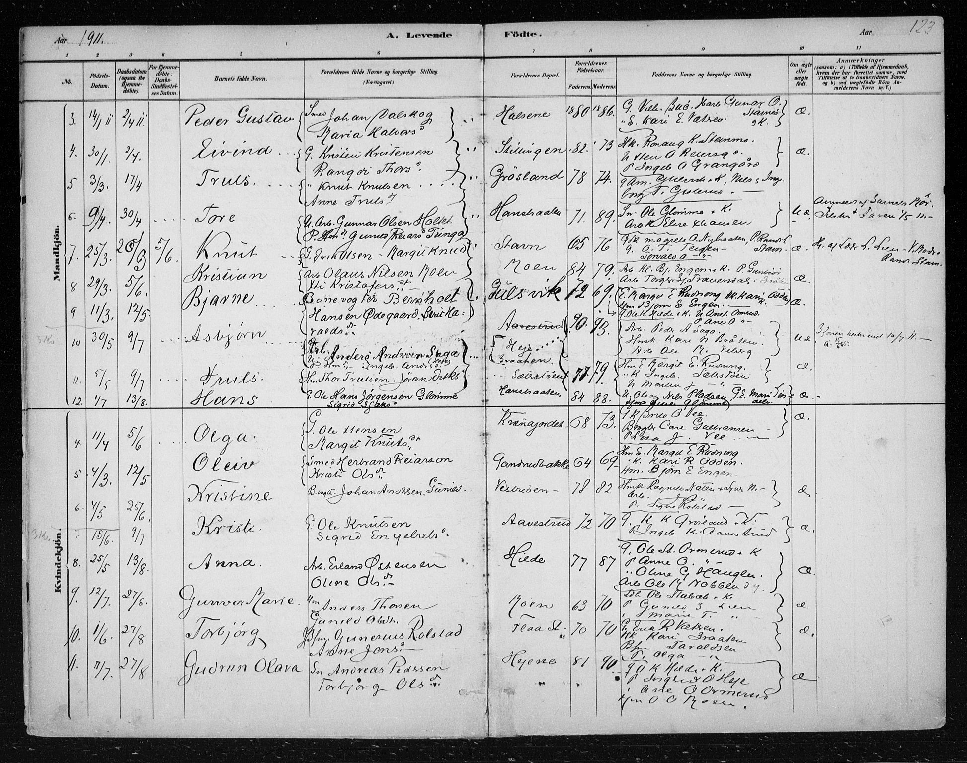 Nes kirkebøker, SAKO/A-236/F/Fa/L0012: Parish register (official) no. 12, 1881-1917, p. 123