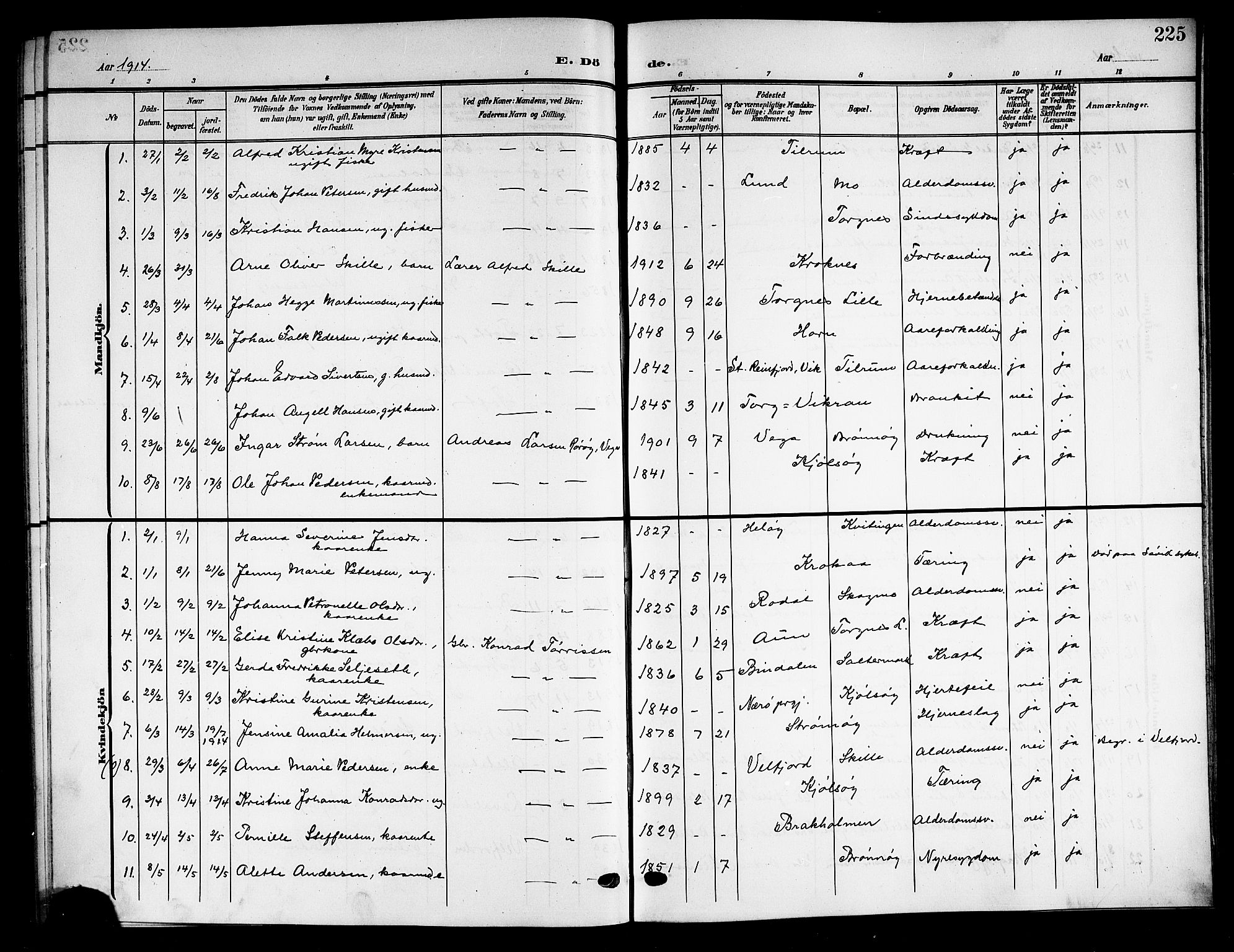 Ministerialprotokoller, klokkerbøker og fødselsregistre - Nordland, SAT/A-1459/813/L0214: Parish register (copy) no. 813C06, 1904-1917, p. 225