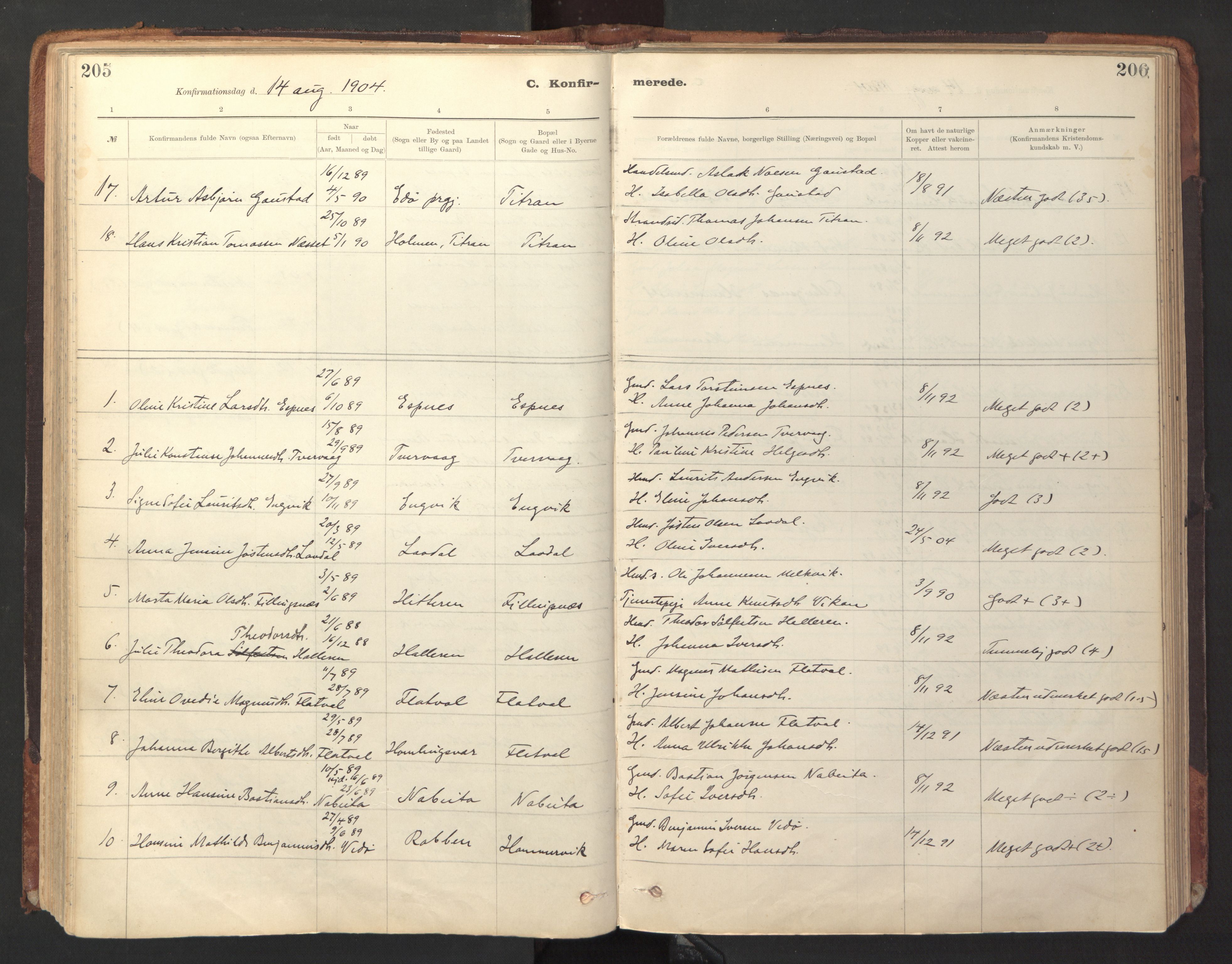 Ministerialprotokoller, klokkerbøker og fødselsregistre - Sør-Trøndelag, AV/SAT-A-1456/641/L0596: Parish register (official) no. 641A02, 1898-1915, p. 205-206