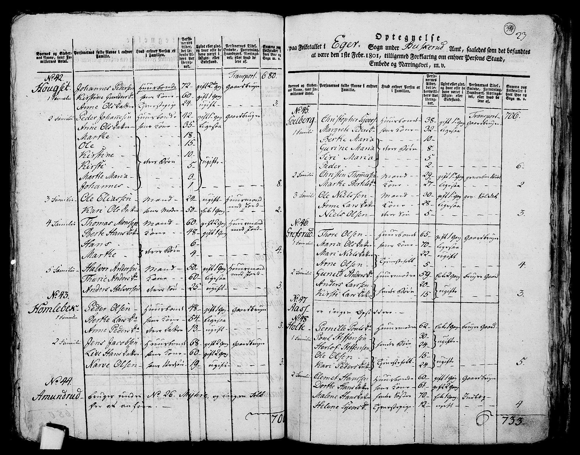 RA, 1801 census for 0624P Eiker, 1801, p. 393b-394a
