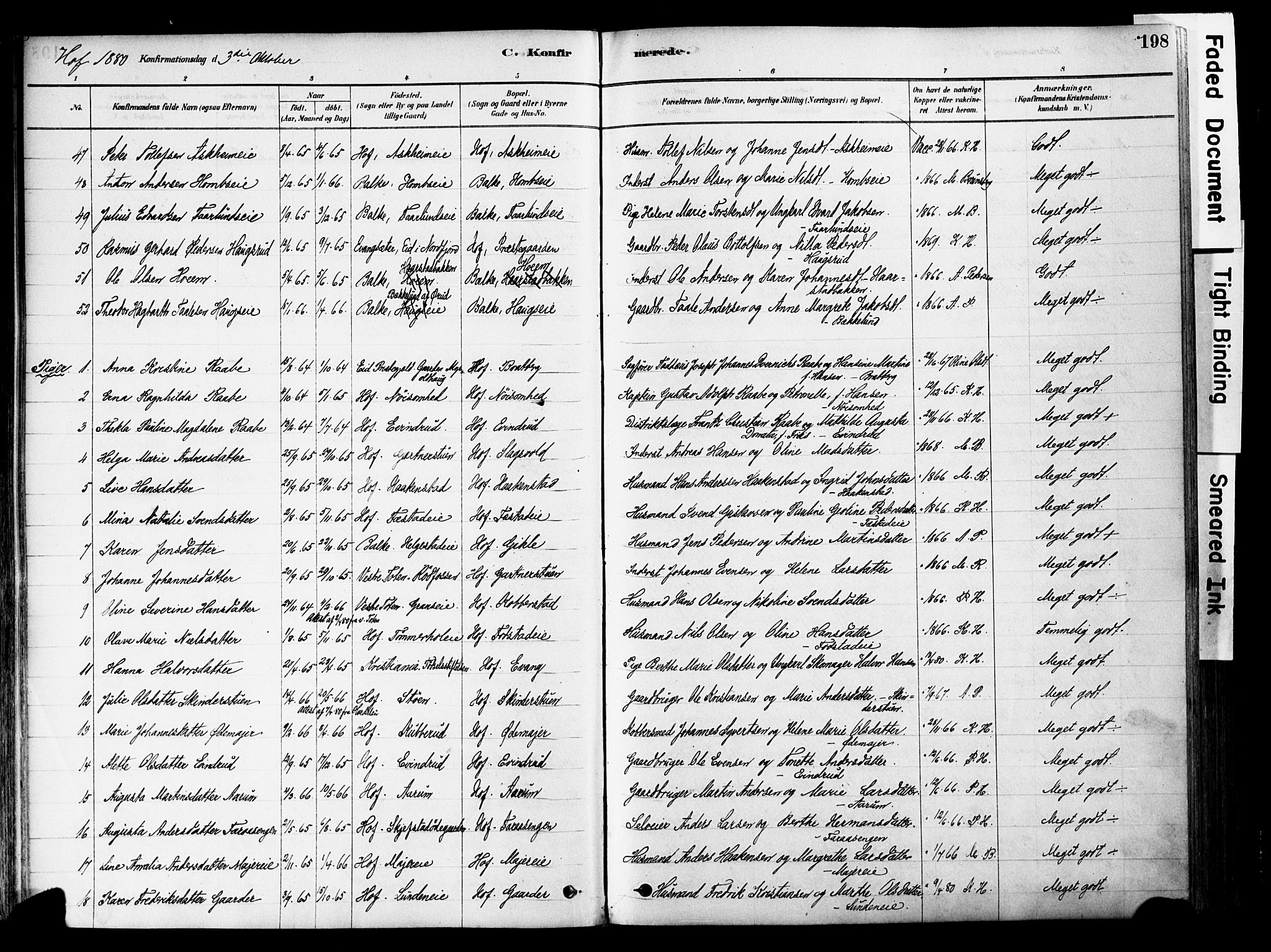 Østre Toten prestekontor, AV/SAH-PREST-104/H/Ha/Haa/L0006: Parish register (official) no. 6 /1, 1878-1896, p. 198