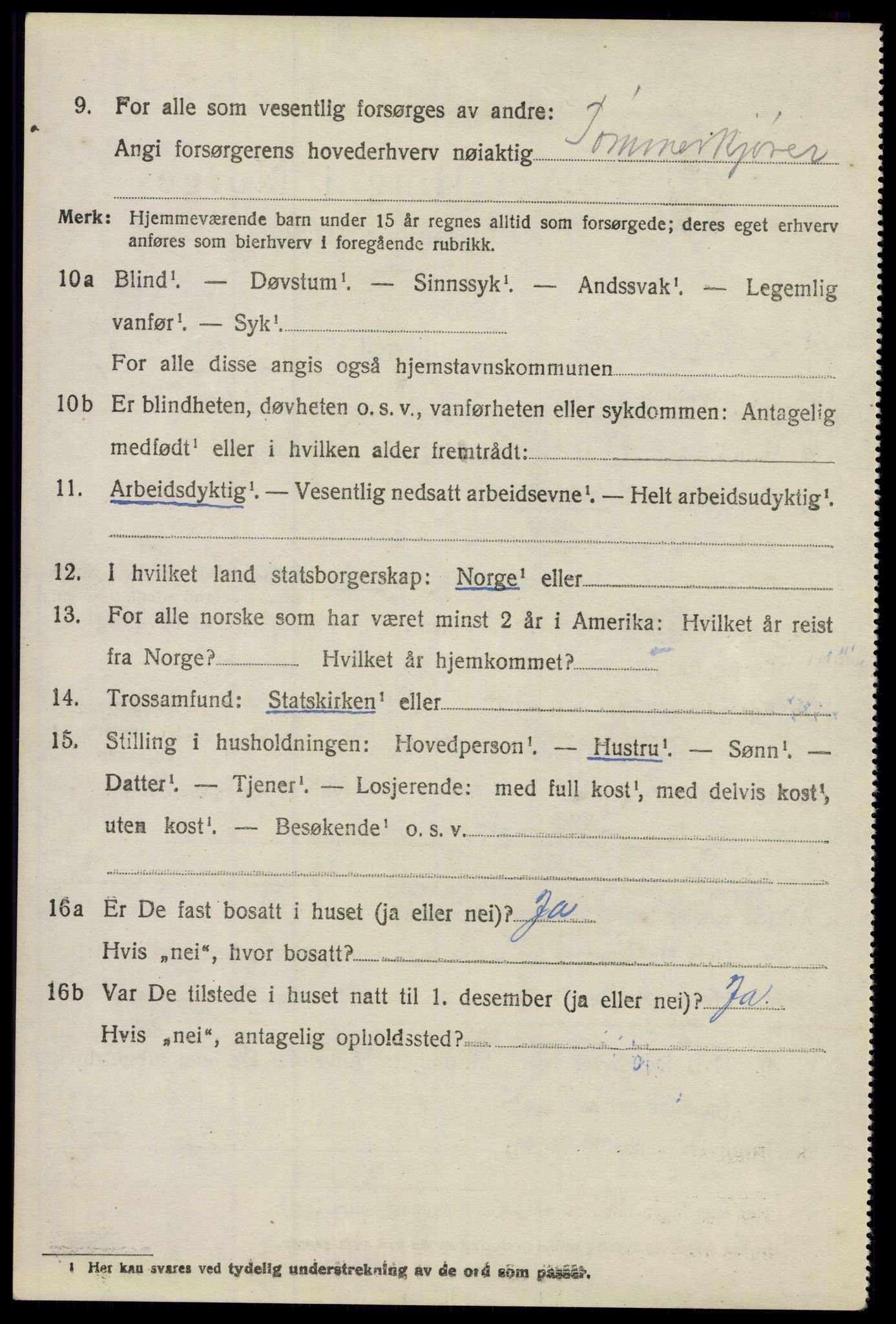 SAO, 1920 census for Nes, 1920, p. 10987