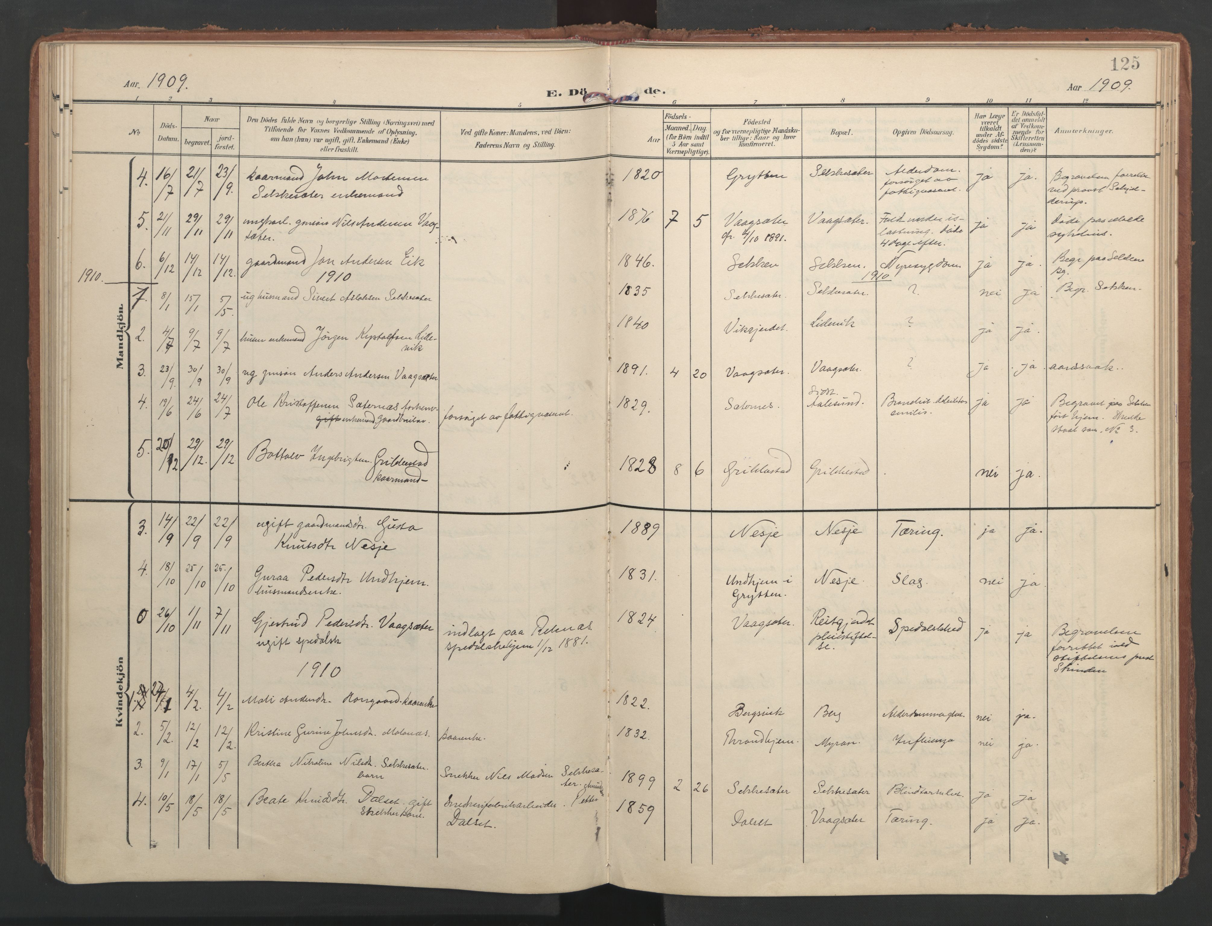 Ministerialprotokoller, klokkerbøker og fødselsregistre - Møre og Romsdal, AV/SAT-A-1454/547/L0605: Parish register (official) no. 547A07, 1907-1936, p. 125