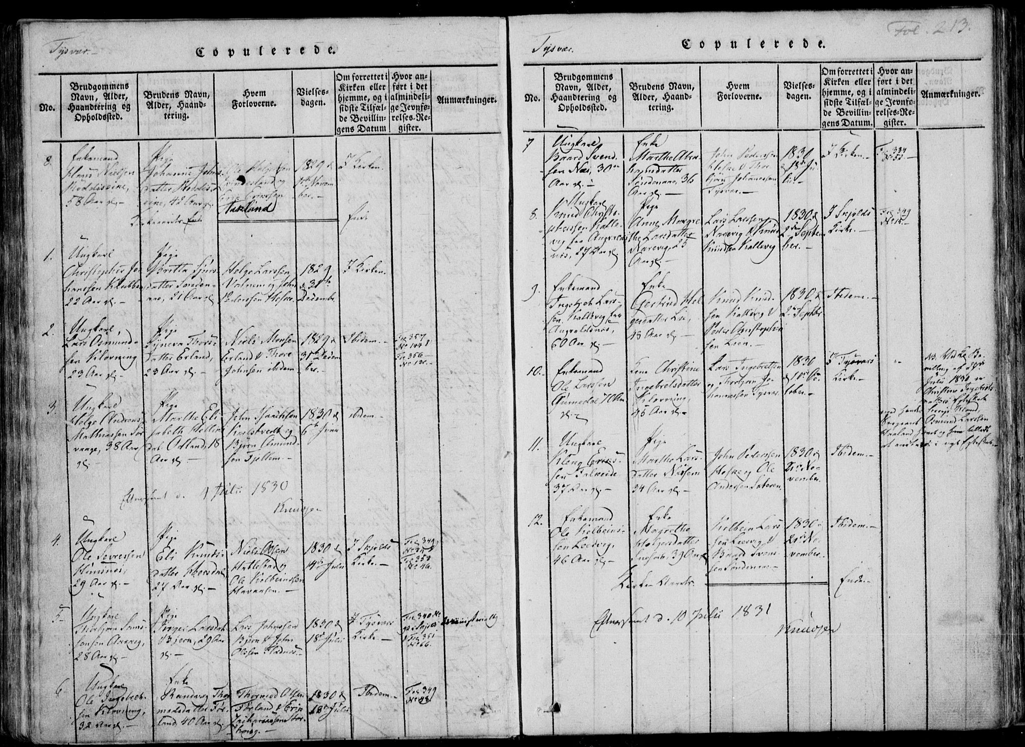 Skjold sokneprestkontor, SAST/A-101847/H/Ha/Haa/L0004: Parish register (official) no. A 4 /1, 1815-1830, p. 213