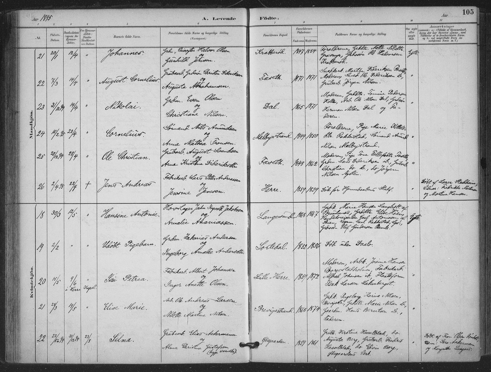 Bamble kirkebøker, AV/SAKO-A-253/F/Fa/L0008: Parish register (official) no. I 8, 1888-1900, p. 105