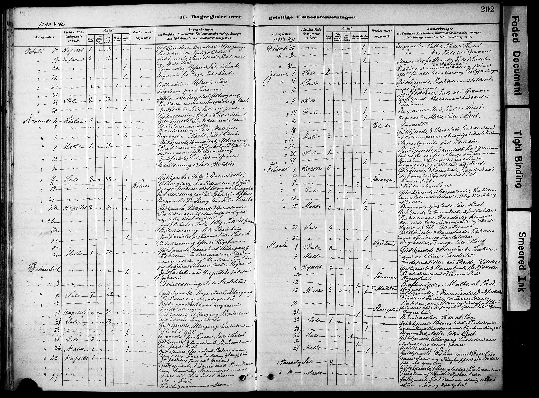 Håland sokneprestkontor, AV/SAST-A-101802/001/30BA/L0012: Parish register (official) no. A 11, 1889-1900, p. 202