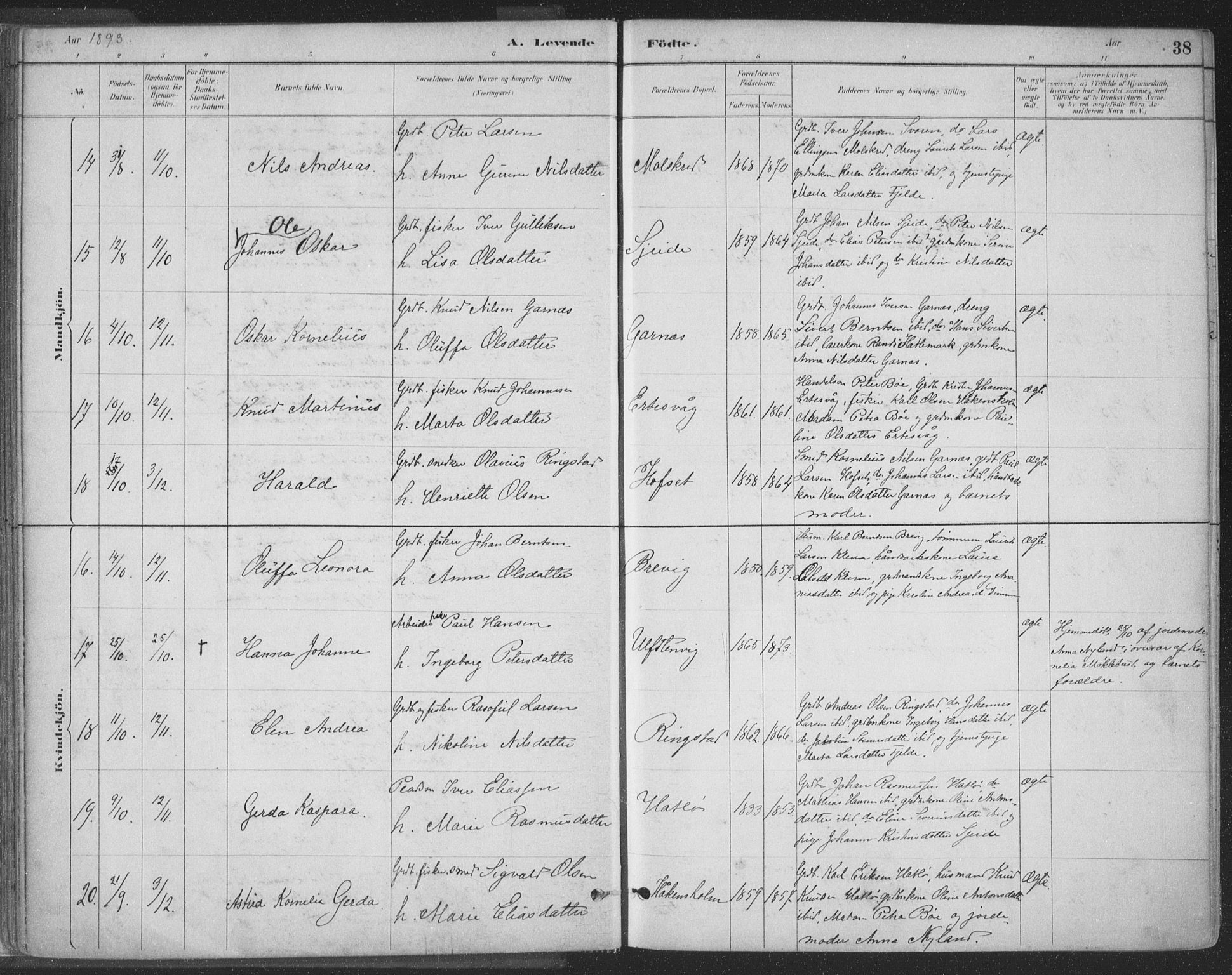 Ministerialprotokoller, klokkerbøker og fødselsregistre - Møre og Romsdal, SAT/A-1454/509/L0106: Parish register (official) no. 509A04, 1883-1922, p. 38
