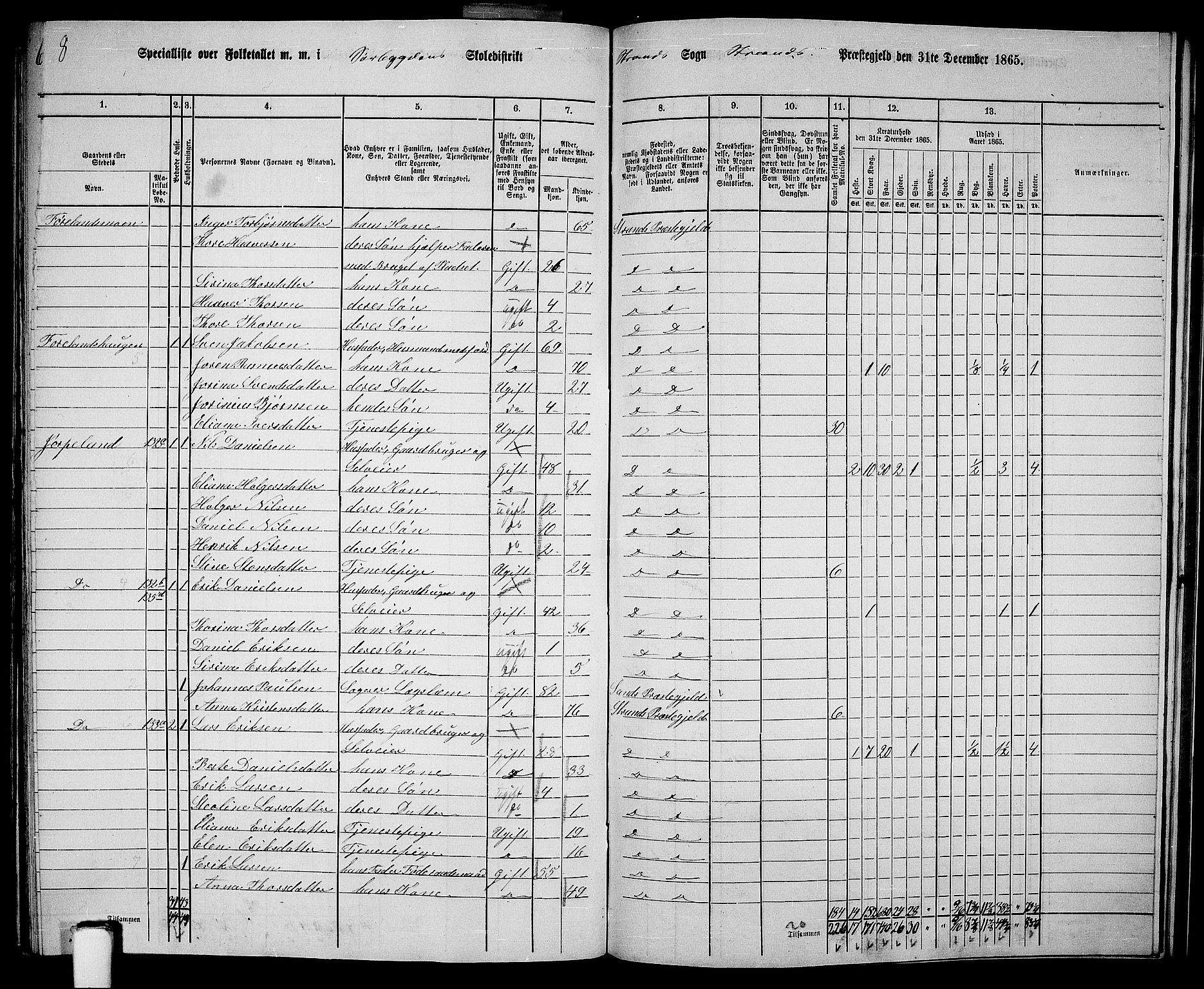 RA, 1865 census for Strand, 1865, p. 75