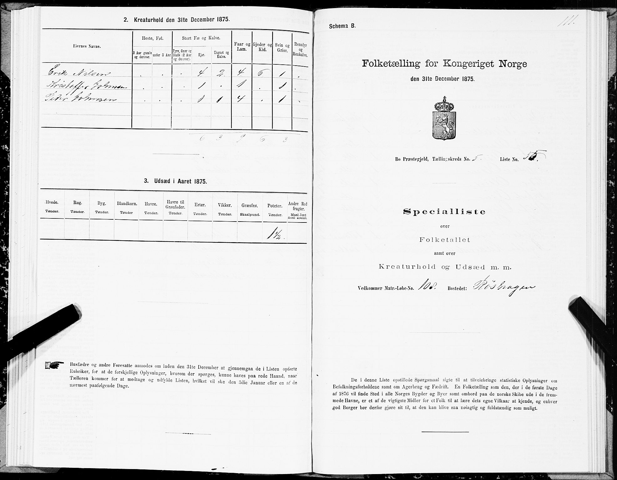 SAT, 1875 census for 1867P Bø, 1875, p. 3111
