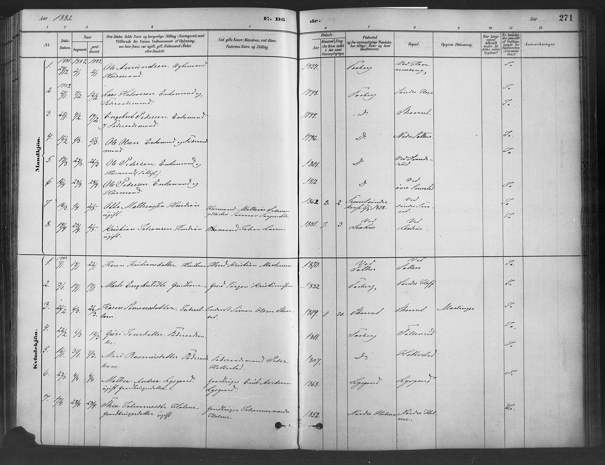 Fåberg prestekontor, SAH/PREST-086/H/Ha/Haa/L0009: Parish register (official) no. 9, 1879-1898, p. 271