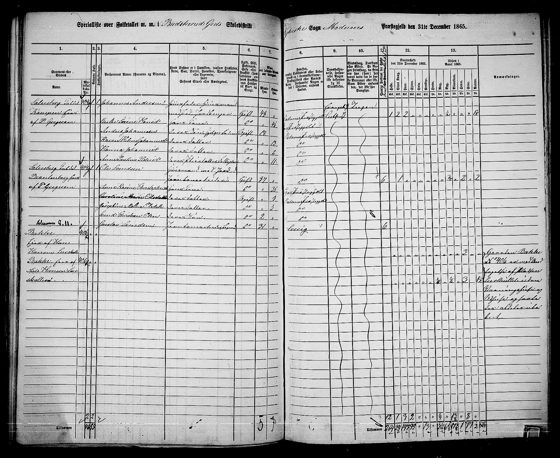 RA, 1865 census for Modum, 1865, p. 253