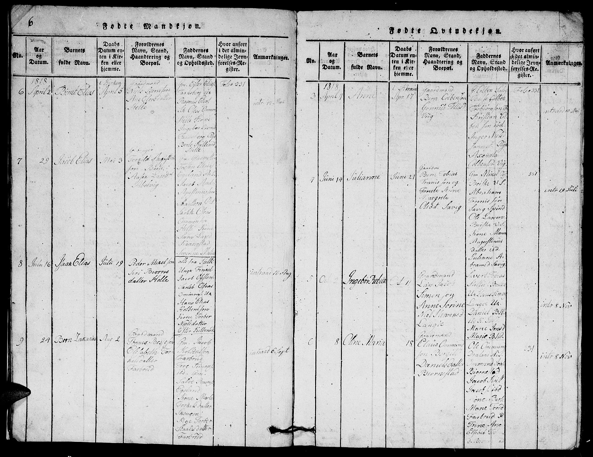 Herad sokneprestkontor, AV/SAK-1111-0018/F/Fb/Fbb/L0001: Parish register (copy) no. B 1, 1815-1852, p. 6