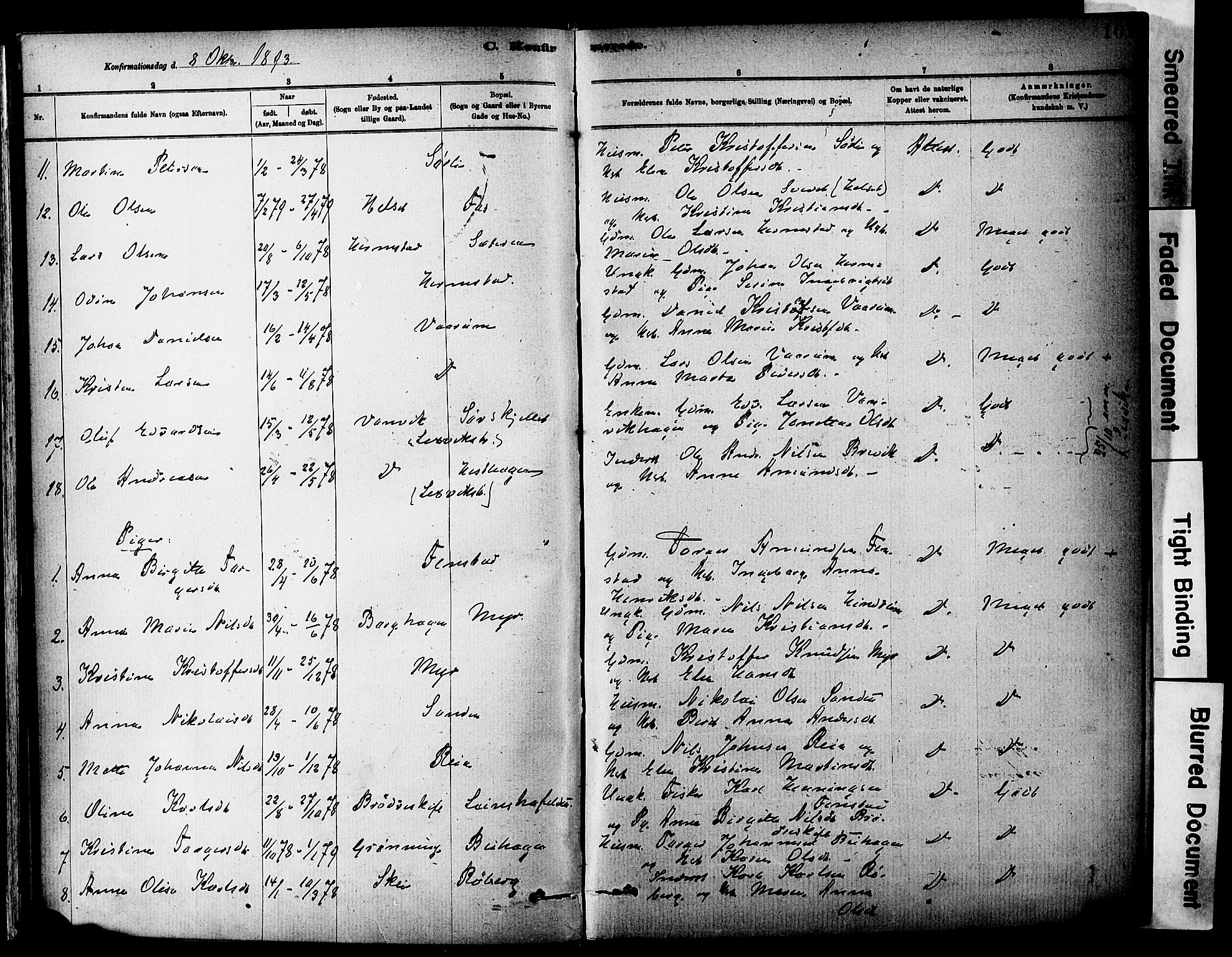 Ministerialprotokoller, klokkerbøker og fødselsregistre - Sør-Trøndelag, SAT/A-1456/646/L0615: Parish register (official) no. 646A13, 1885-1900, p. 101