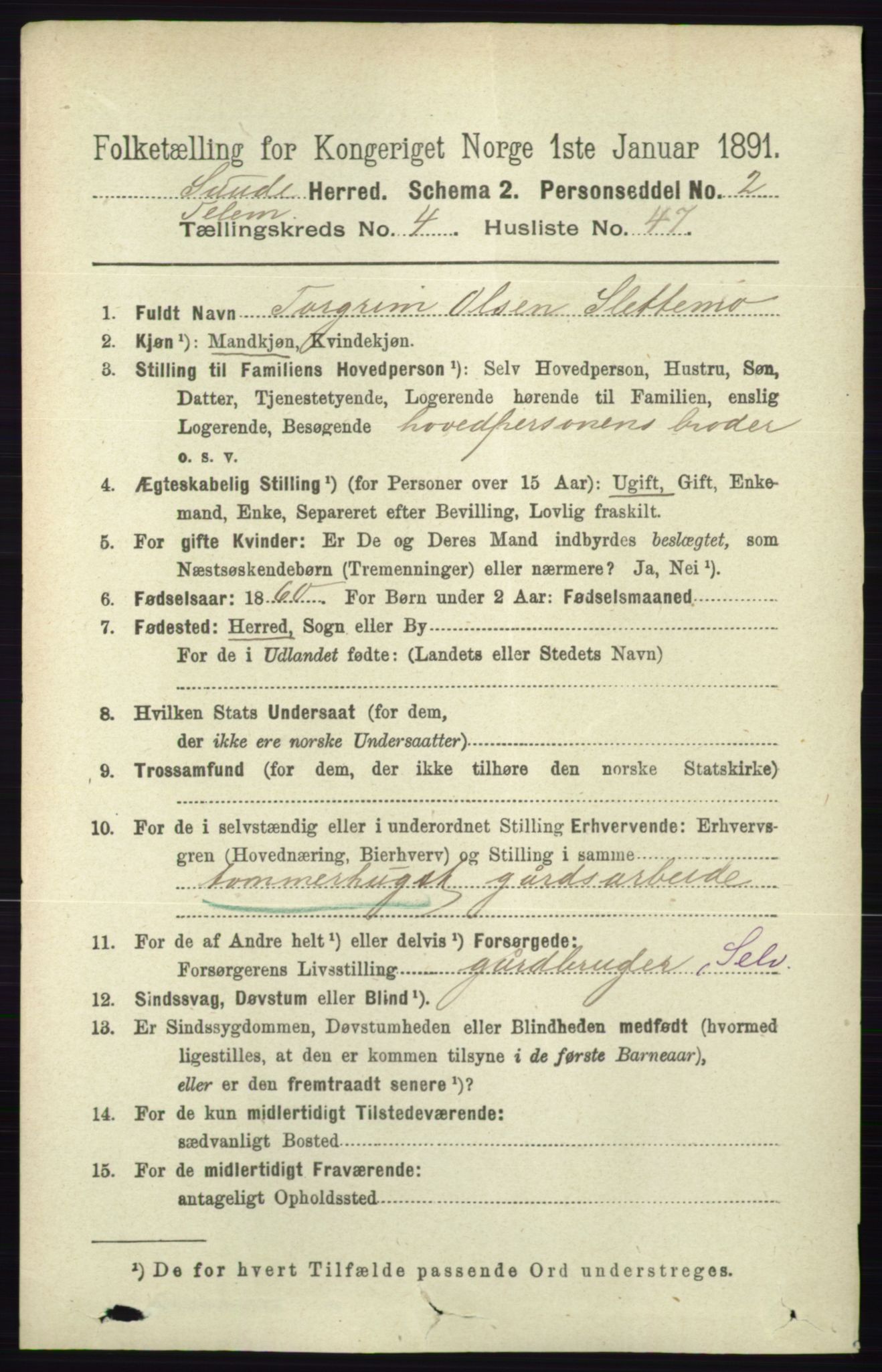 RA, 1891 census for 0822 Sauherad, 1891, p. 1373