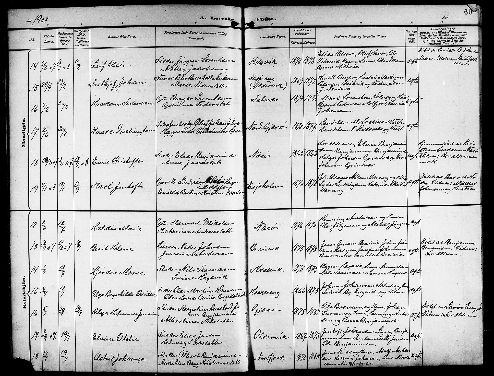 Ministerialprotokoller, klokkerbøker og fødselsregistre - Nordland, AV/SAT-A-1459/841/L0621: Parish register (copy) no. 841C05, 1897-1923, p. 60