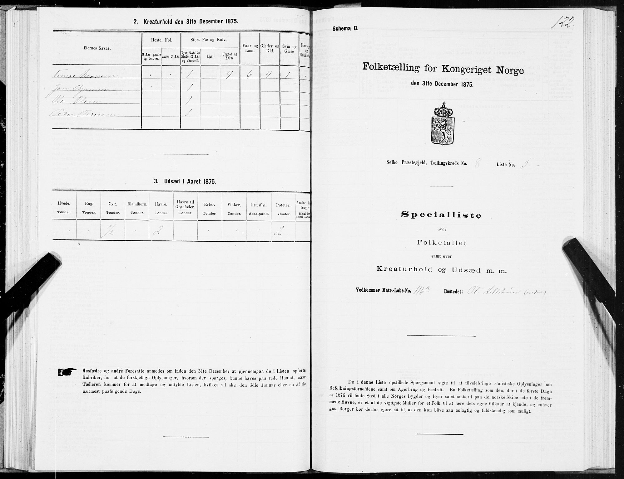 SAT, 1875 census for 1664P Selbu, 1875, p. 4122