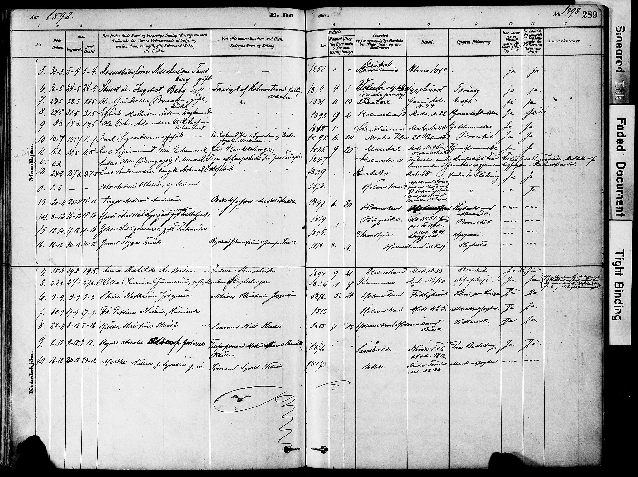 Holmestrand kirkebøker, AV/SAKO-A-346/F/Fa/L0004: Parish register (official) no. 4, 1880-1901, p. 289