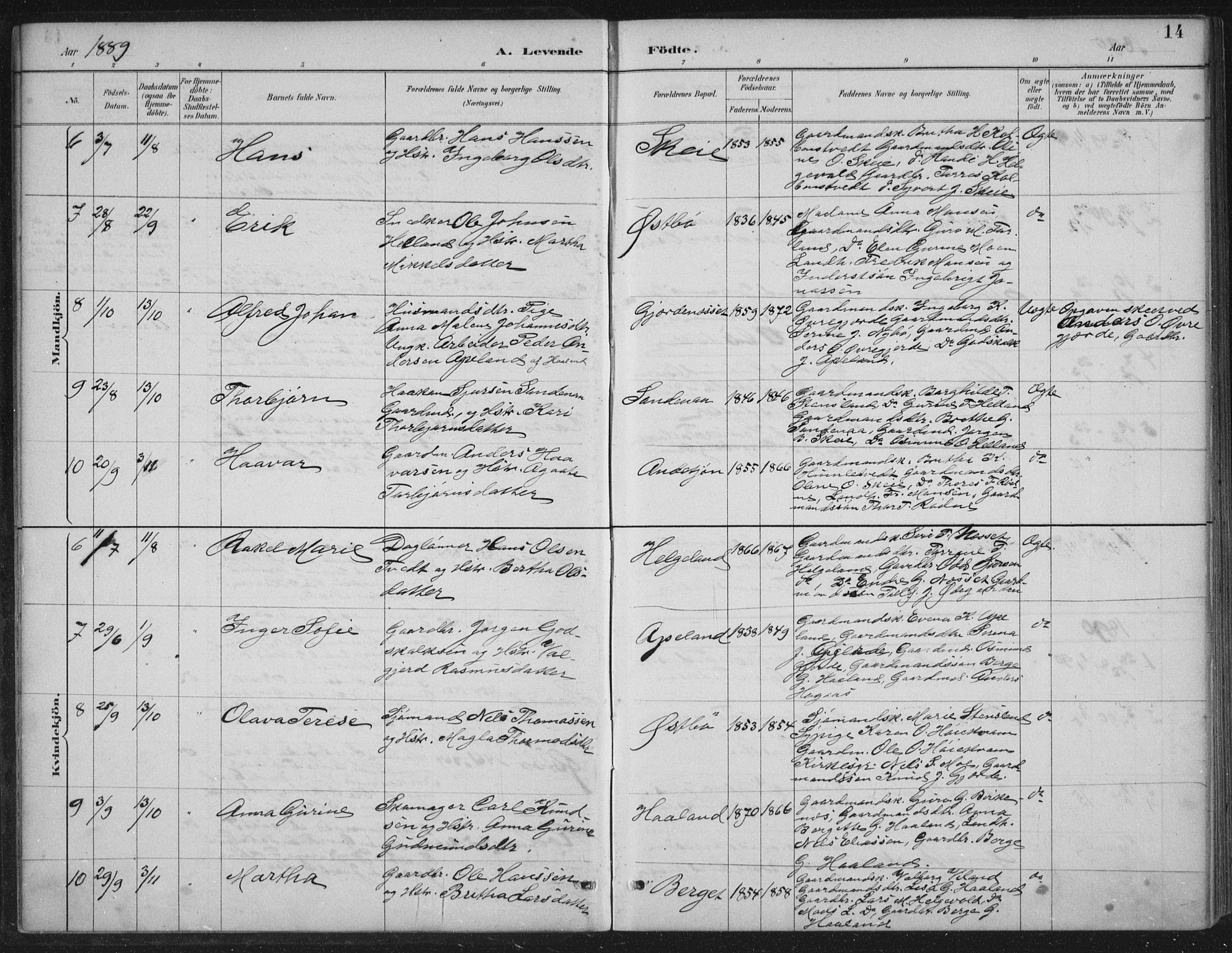 Vikedal sokneprestkontor, AV/SAST-A-101840/01/IV: Parish register (official) no. A 11, 1884-1933, p. 14