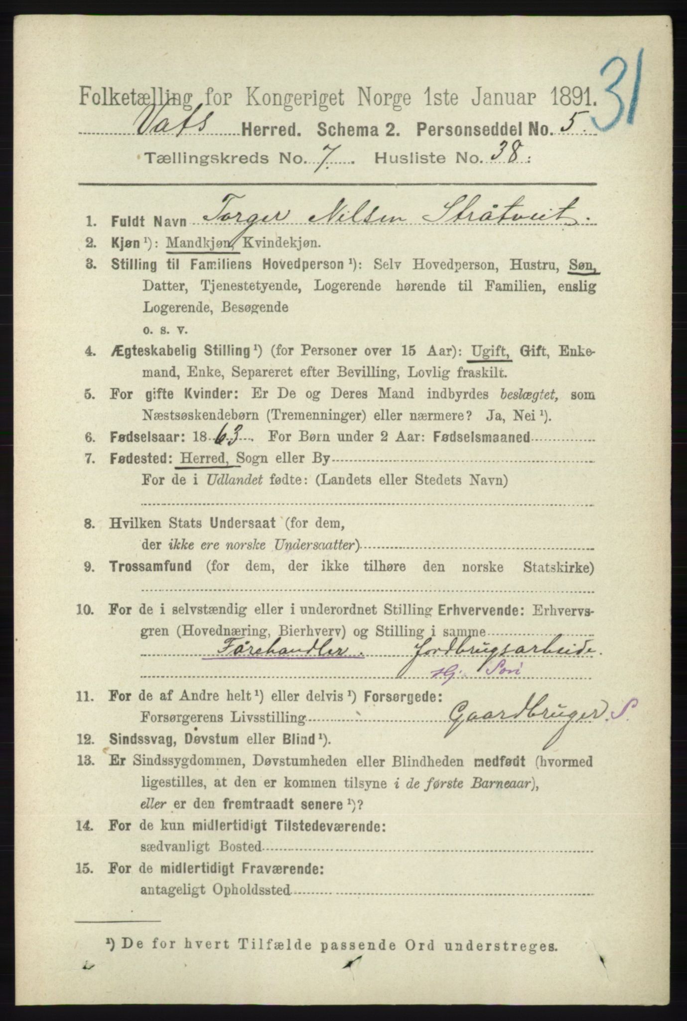 RA, 1891 census for 1155 Vats, 1891, p. 1294