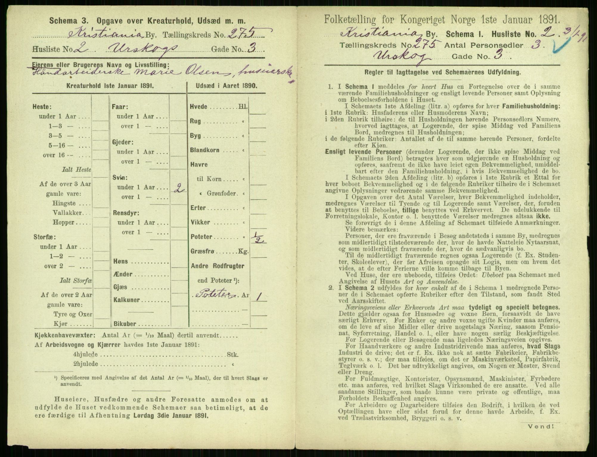 RA, 1891 census for 0301 Kristiania, 1891, p. 166895