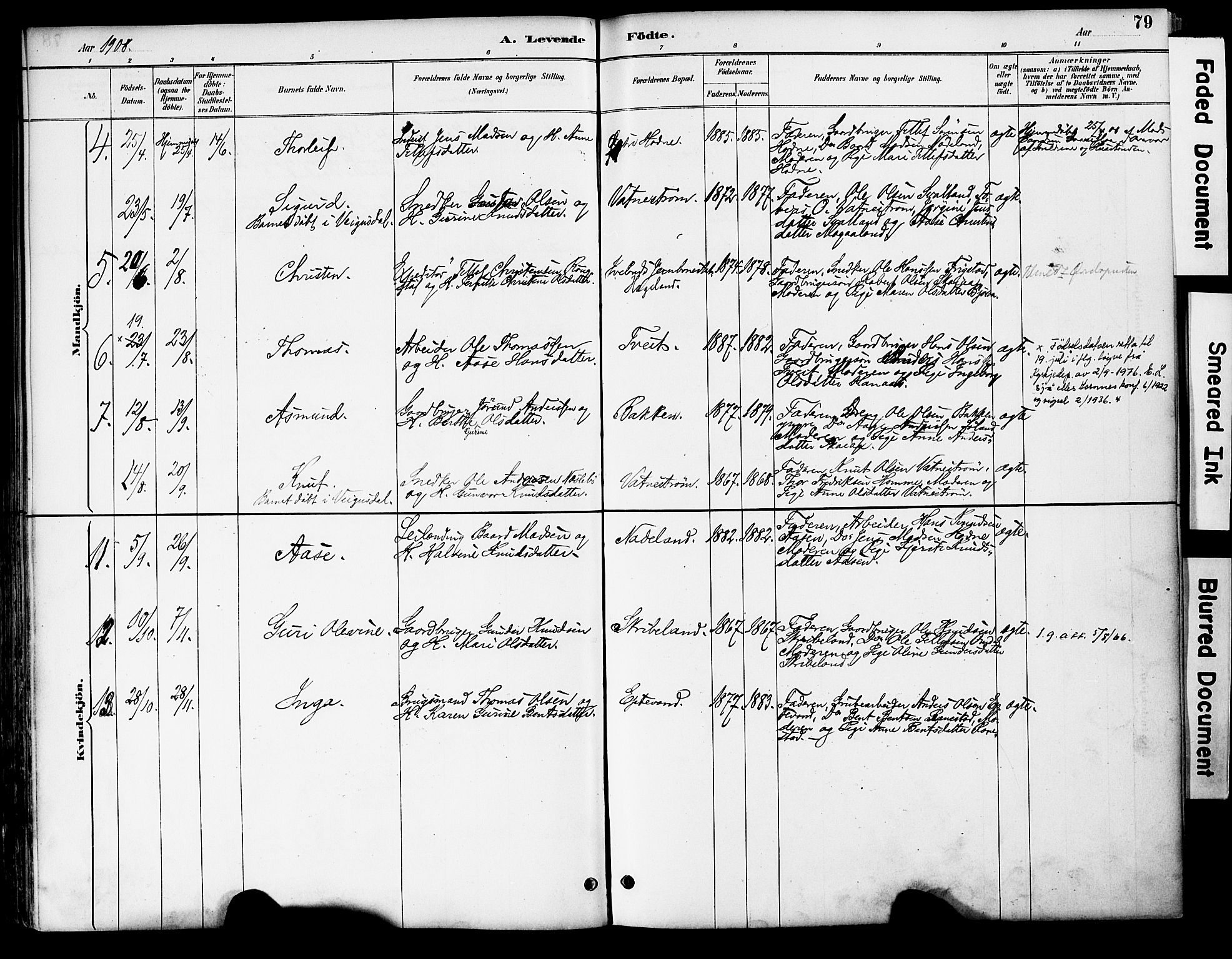 Evje sokneprestkontor, AV/SAK-1111-0008/F/Fa/Fac/L0003: Parish register (official) no. A 3, 1884-1909, p. 79